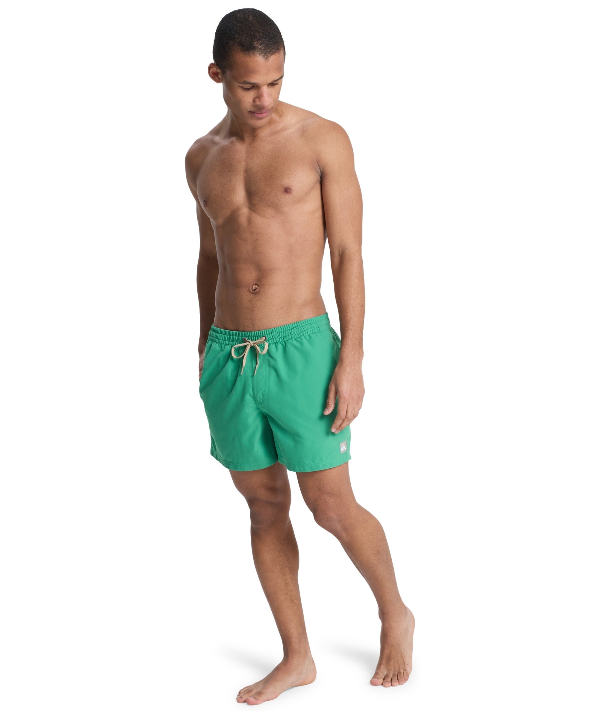EVERYDAY VOLLEY 15 - COSTUME EQYJV04120 -GNZ0 QUIKSILVER