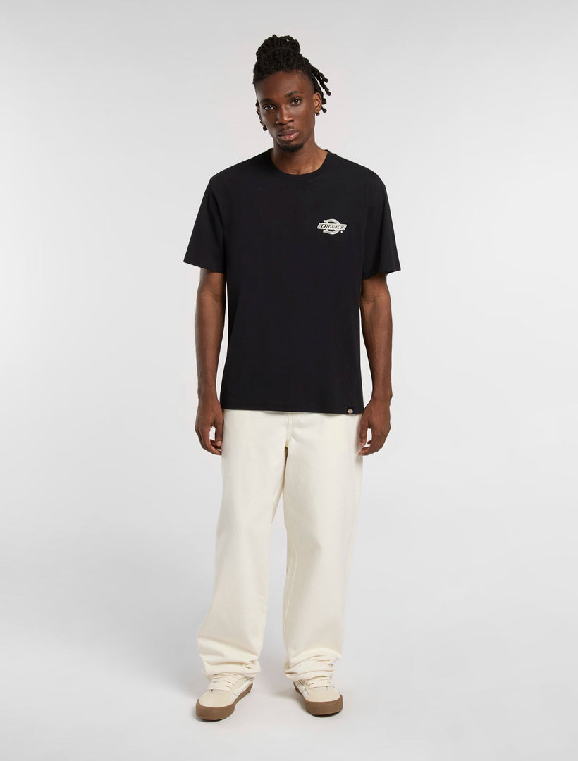 MADISON BAGGY FIT DENIM - JEANS DK0A4YEC ECR1 DICKIES