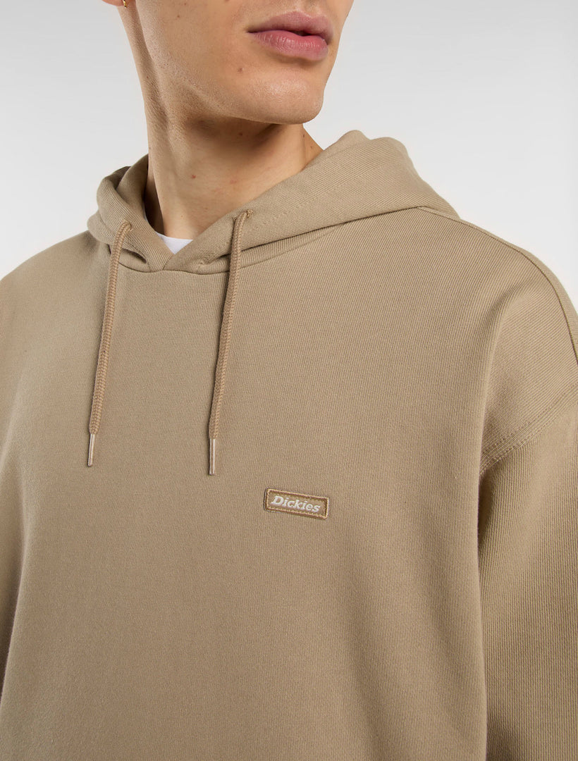 CLANCY HEAVYWEIGHT - FELPA DK0A87CJ 0DS1 DICKIES