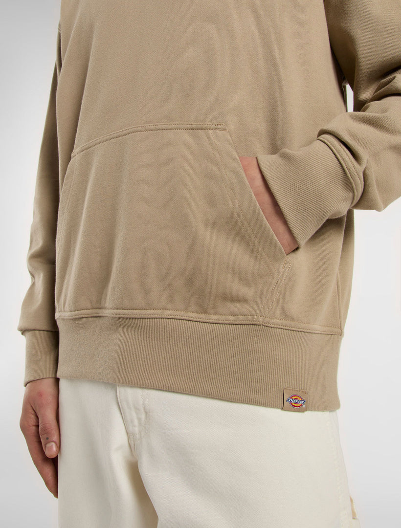 CLANCY HEAVYWEIGHT - FELPA DK0A87CJ 0DS1 DICKIES