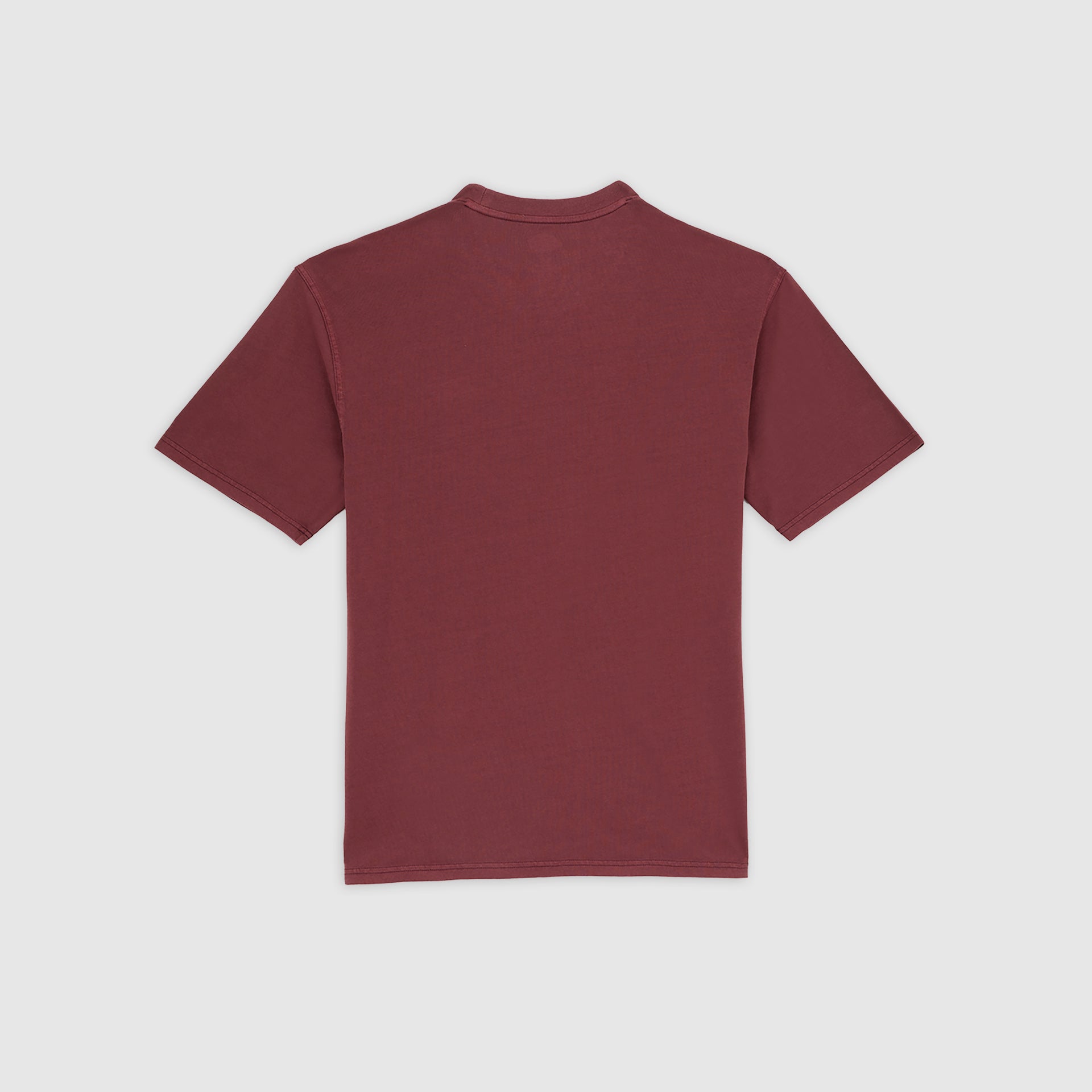 PLENTYWOOD - T-SHIRT DK0A866B L161 DICKIES