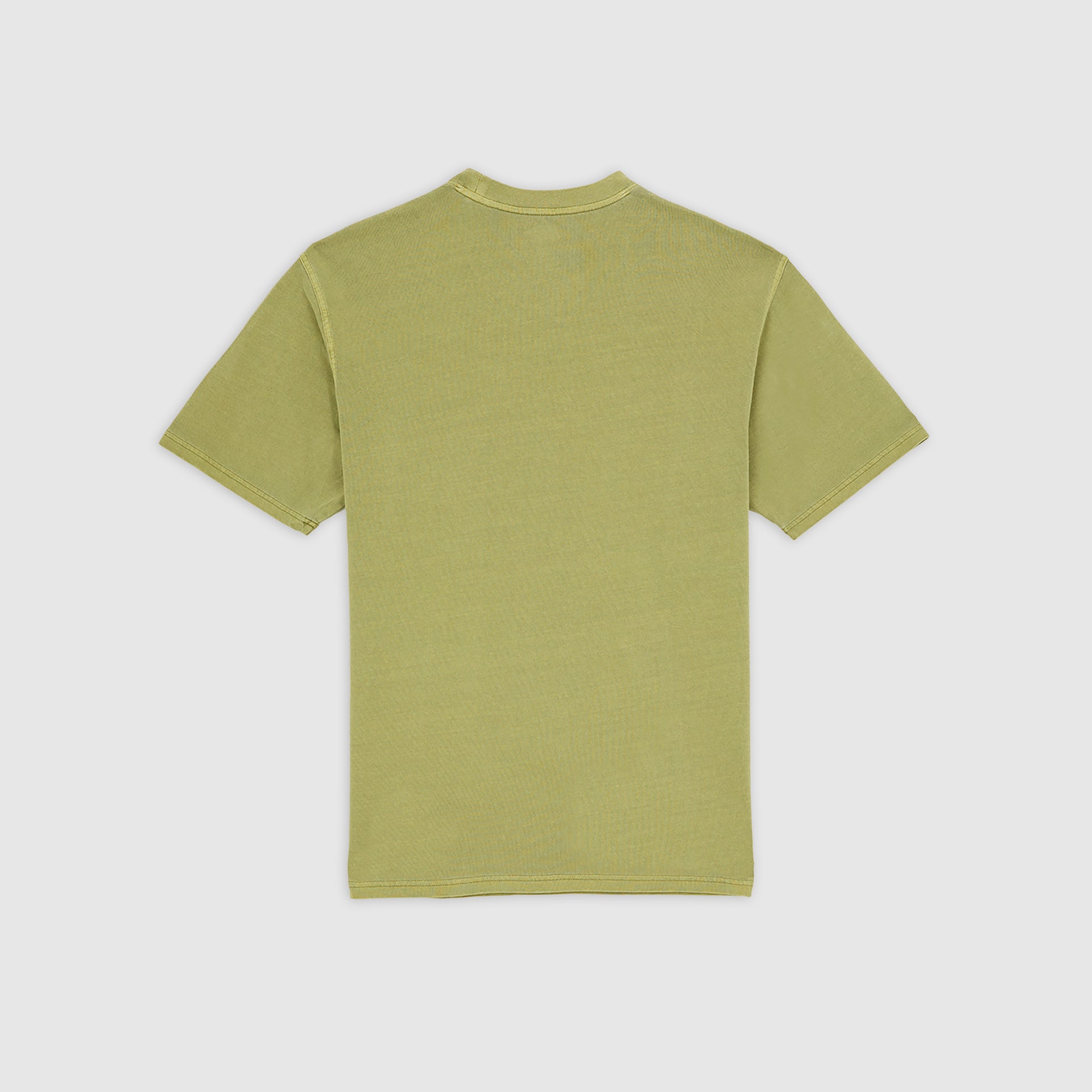 PLENTYWOOD - T-SHIRT DK0A866B L201 DICKIES