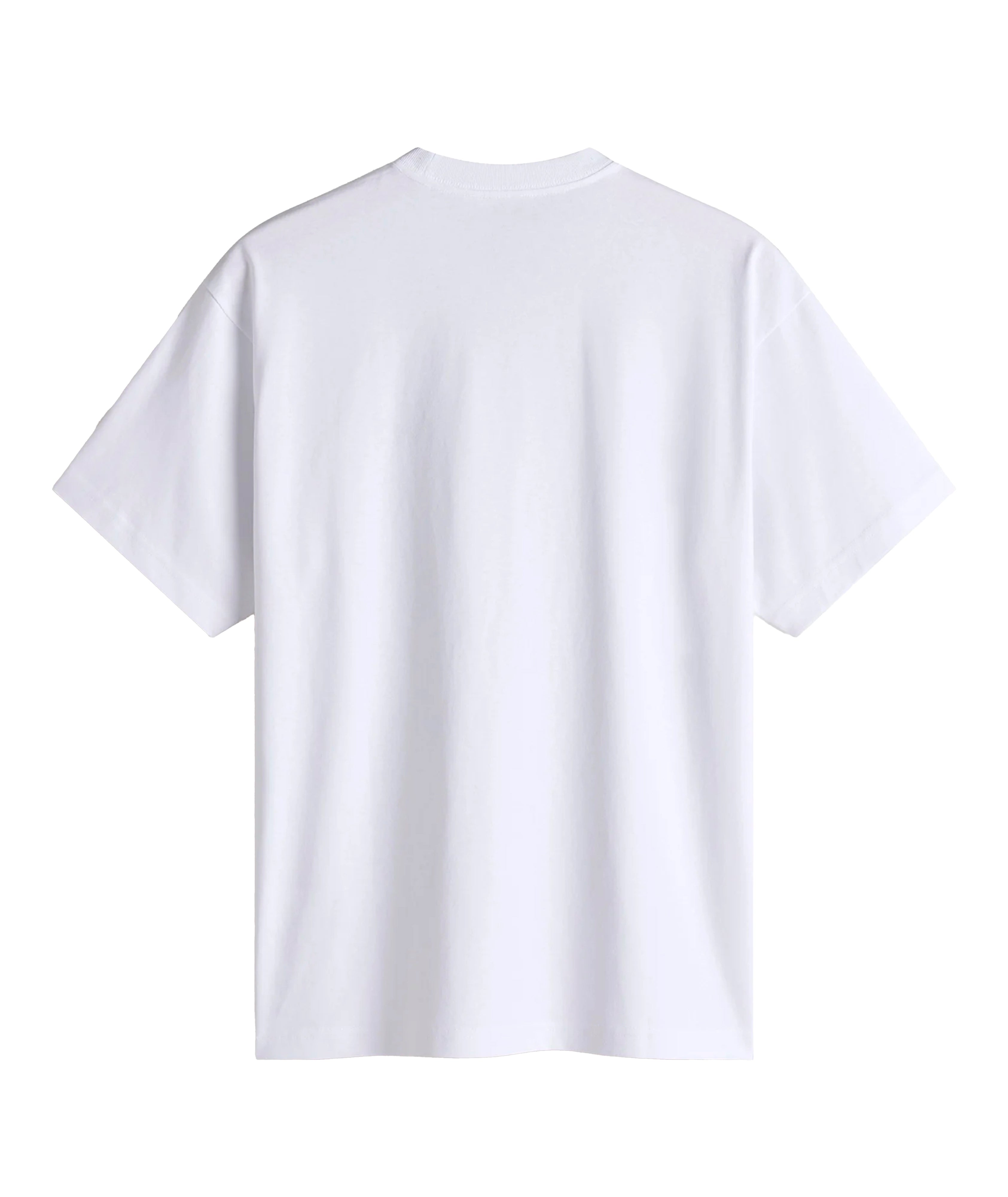 LEFT CHEST II LOOSE - T-SHIRT VN000P1P WHT1 VANS