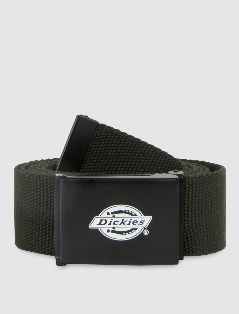 ORCUTT WEBBING - CINTURA DK0A4X7E OGX1 DICKIES