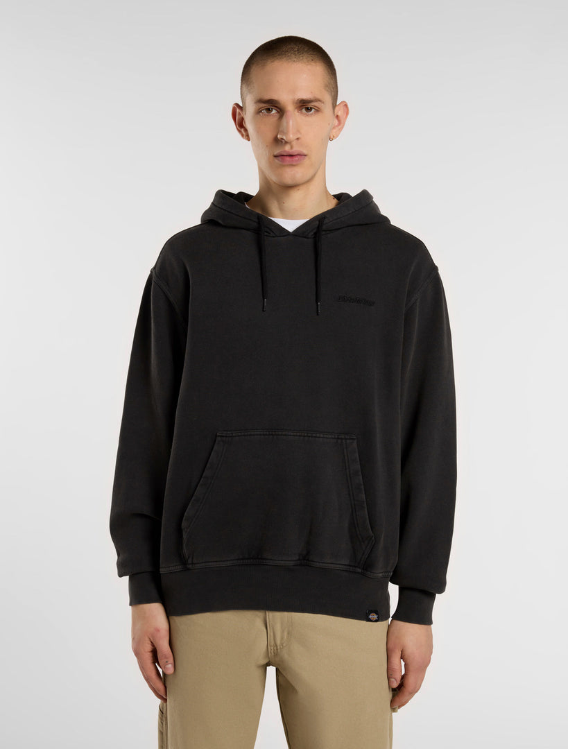 PLENTYWOOD - FELPA DK0A866D BLK1 DICKIES