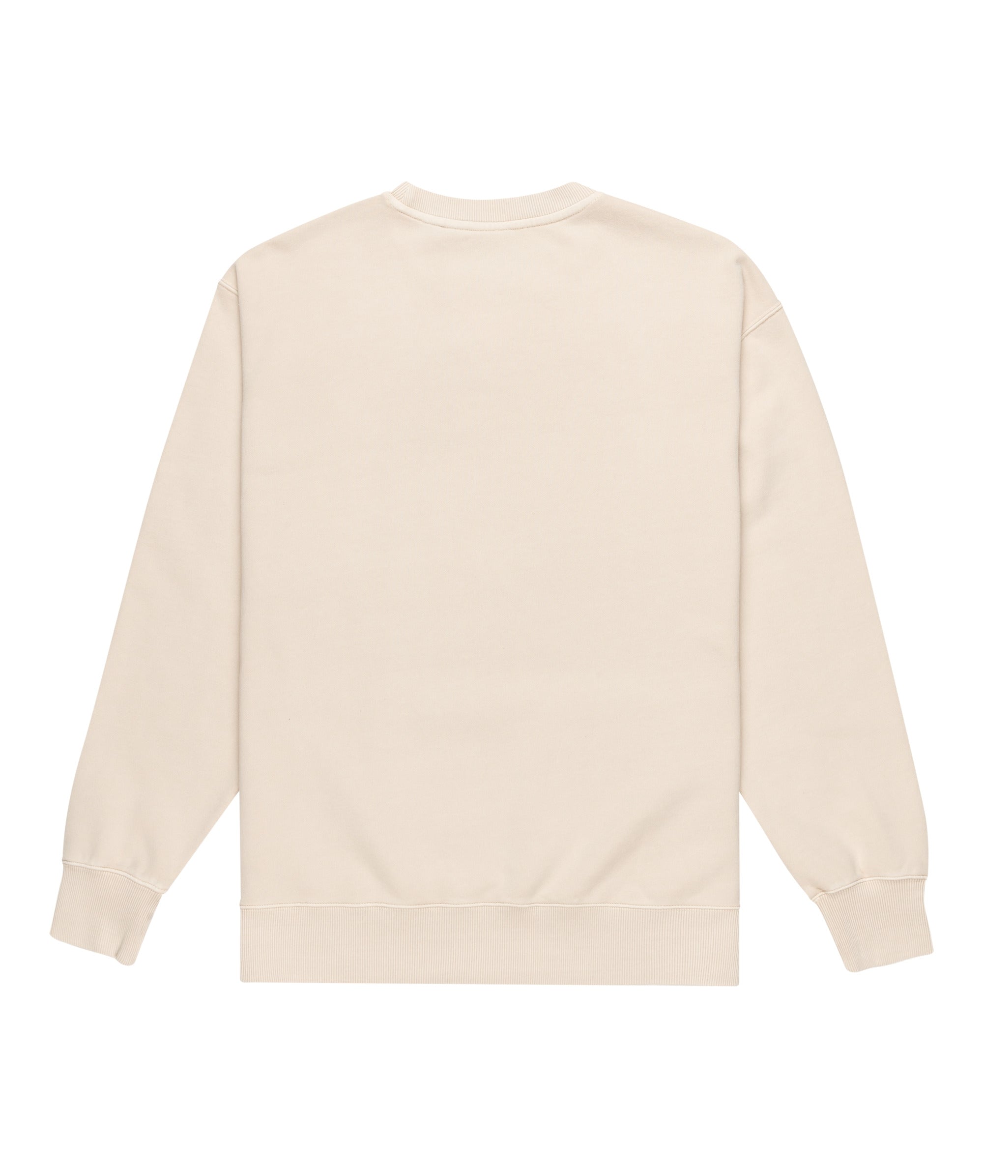 LOWCASE PIGMENT CR - FELPA ELYFT00188 -TEG0 ELEMENT