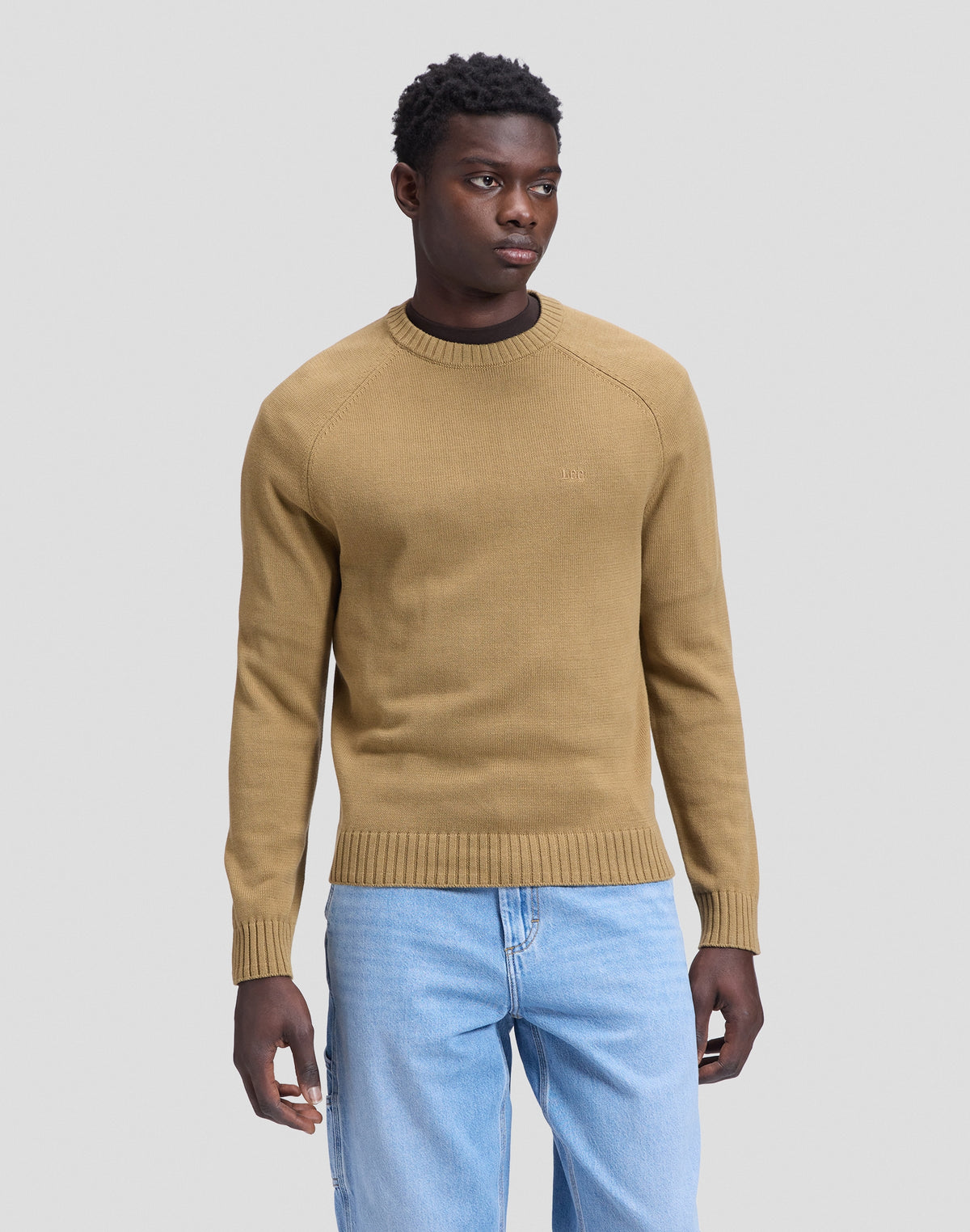RAGLAN SWEATER - MAGLIA 112386280 . LEE