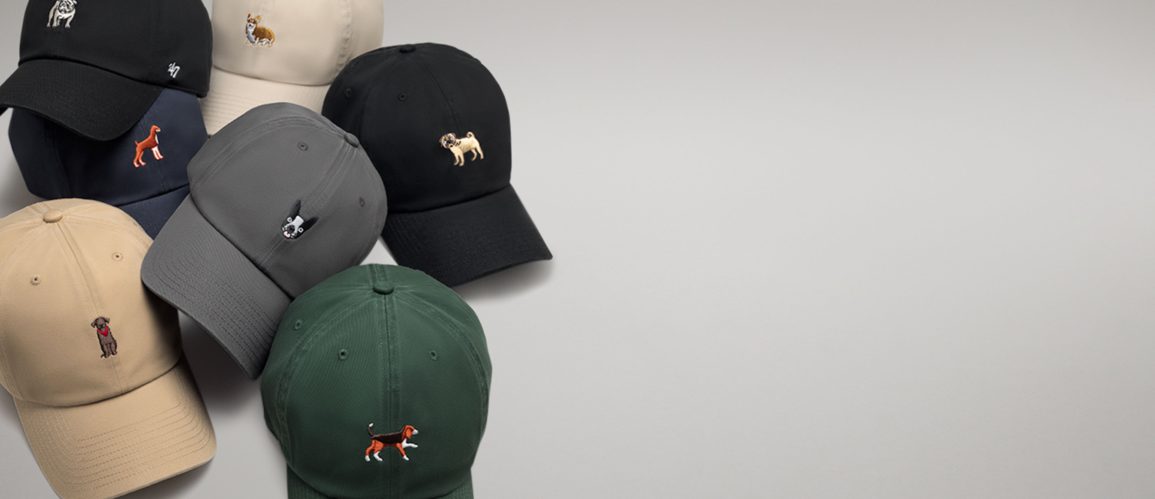 '47 cappellini cani banner