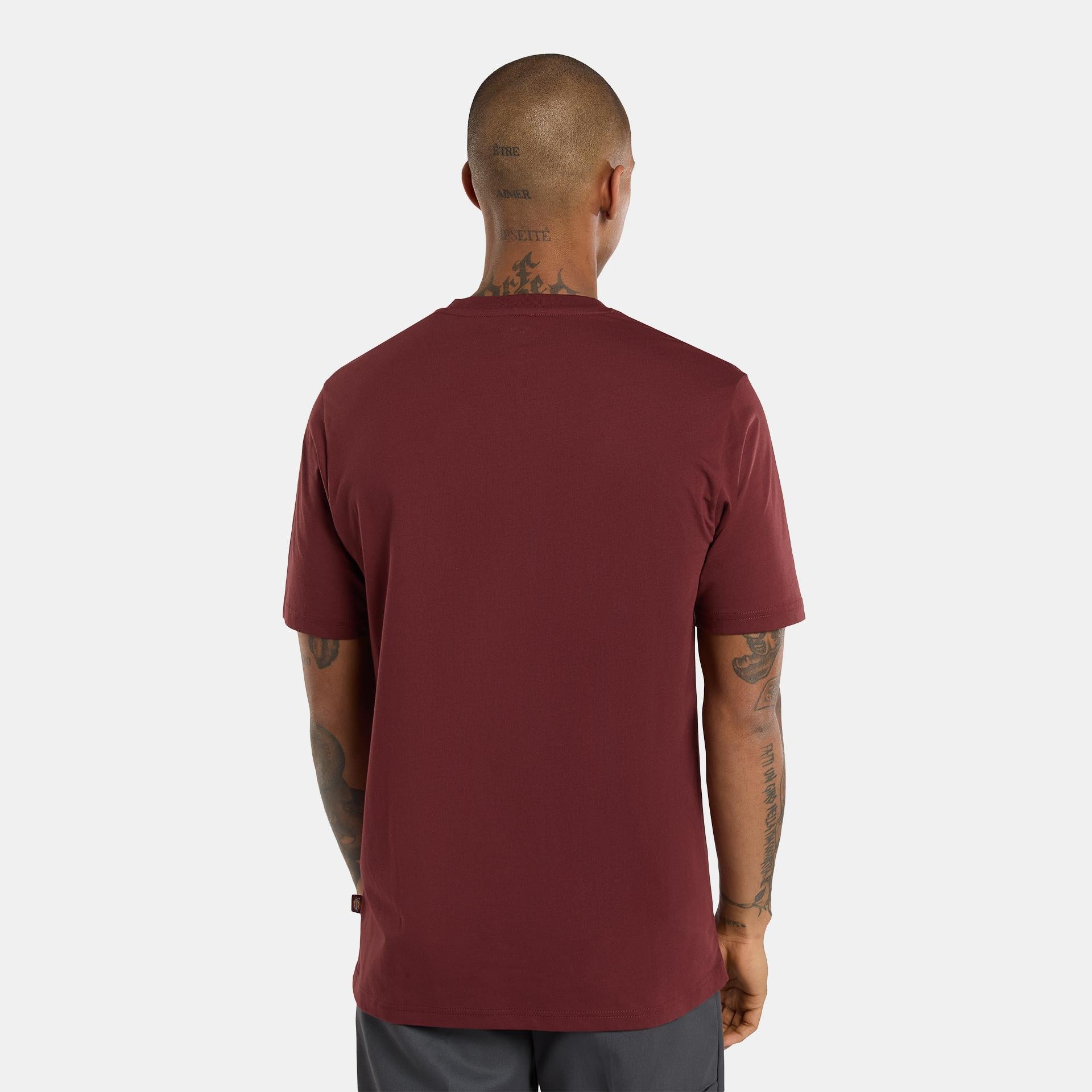 MAPLETON - T-SHIRT DK0A4XDB L161 DICKIES