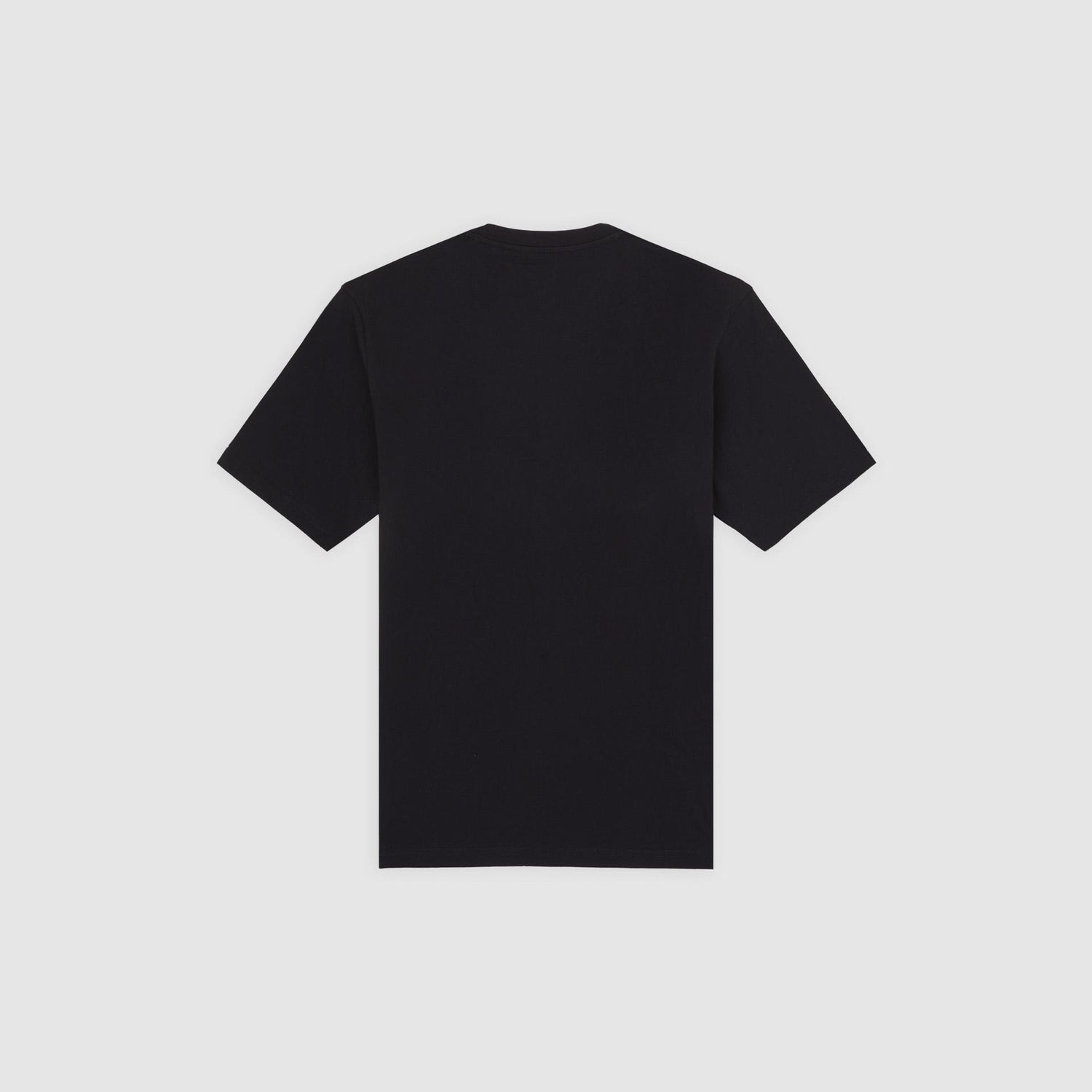 MAPLETON - T-SHIRT DK0A4XDB BLK1 DICKIES