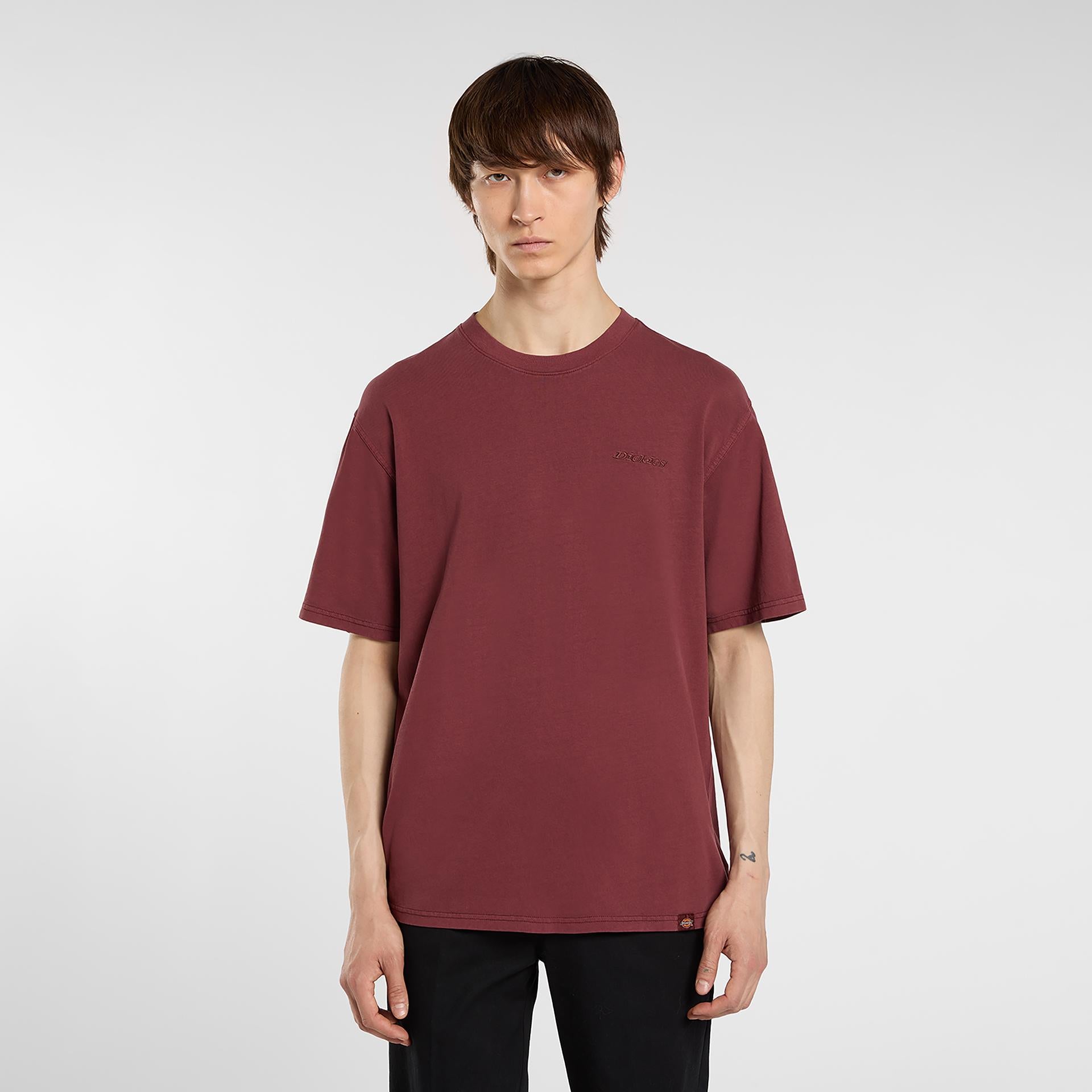 PLENTYWOOD - T-SHIRT DK0A866B L161 DICKIES