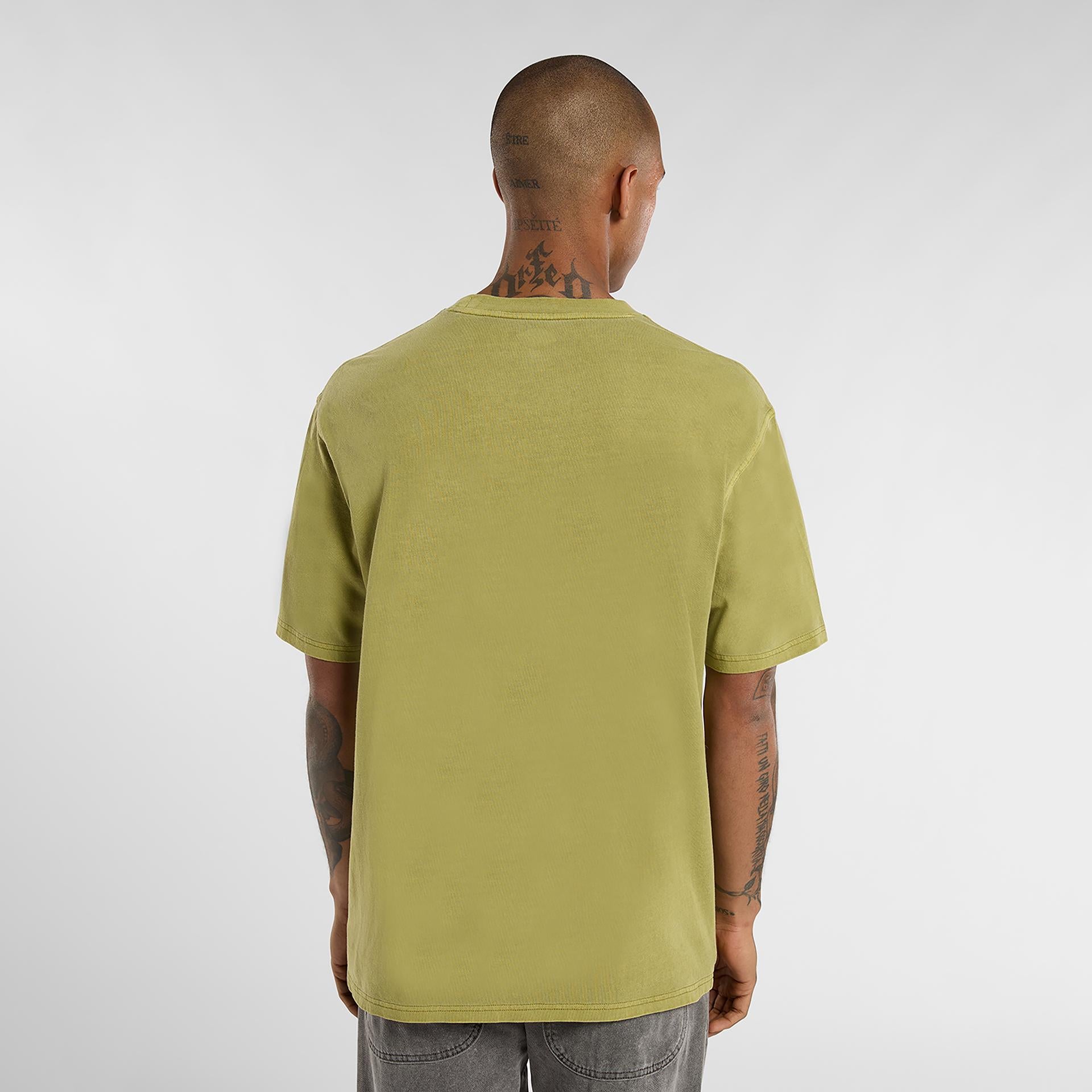 PLENTYWOOD - T-SHIRT DK0A866B L201 DICKIES