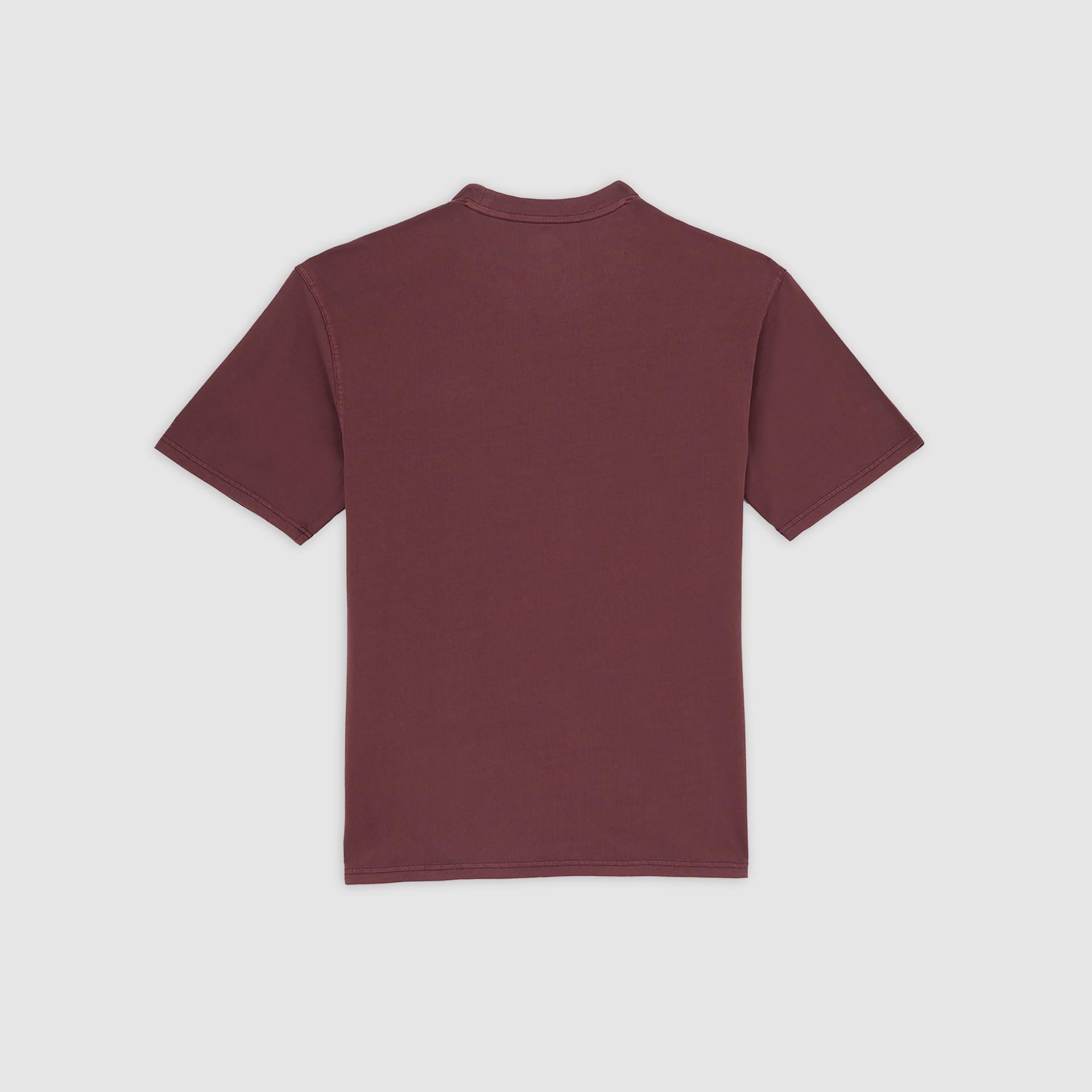 PLENTYWOOD - T-SHIRT DK0A866B L161 DICKIES