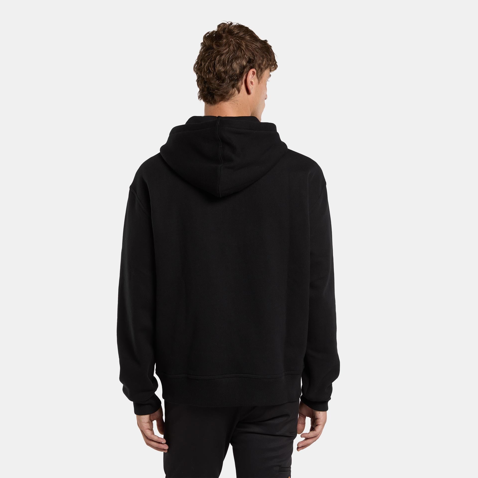 CLANCY BB - FELPA DK0A88BK BLK1 DICKIES