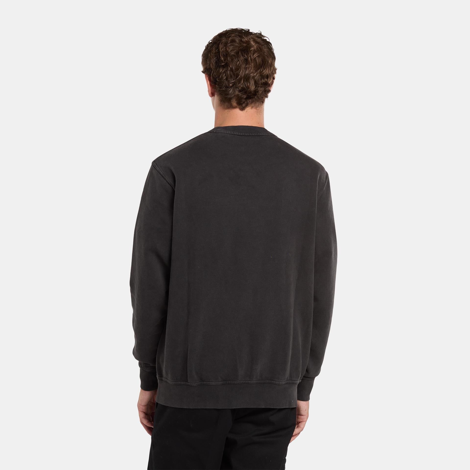 PLENTYWOOD - FELPA DK0A864H BLK1 DICKIES