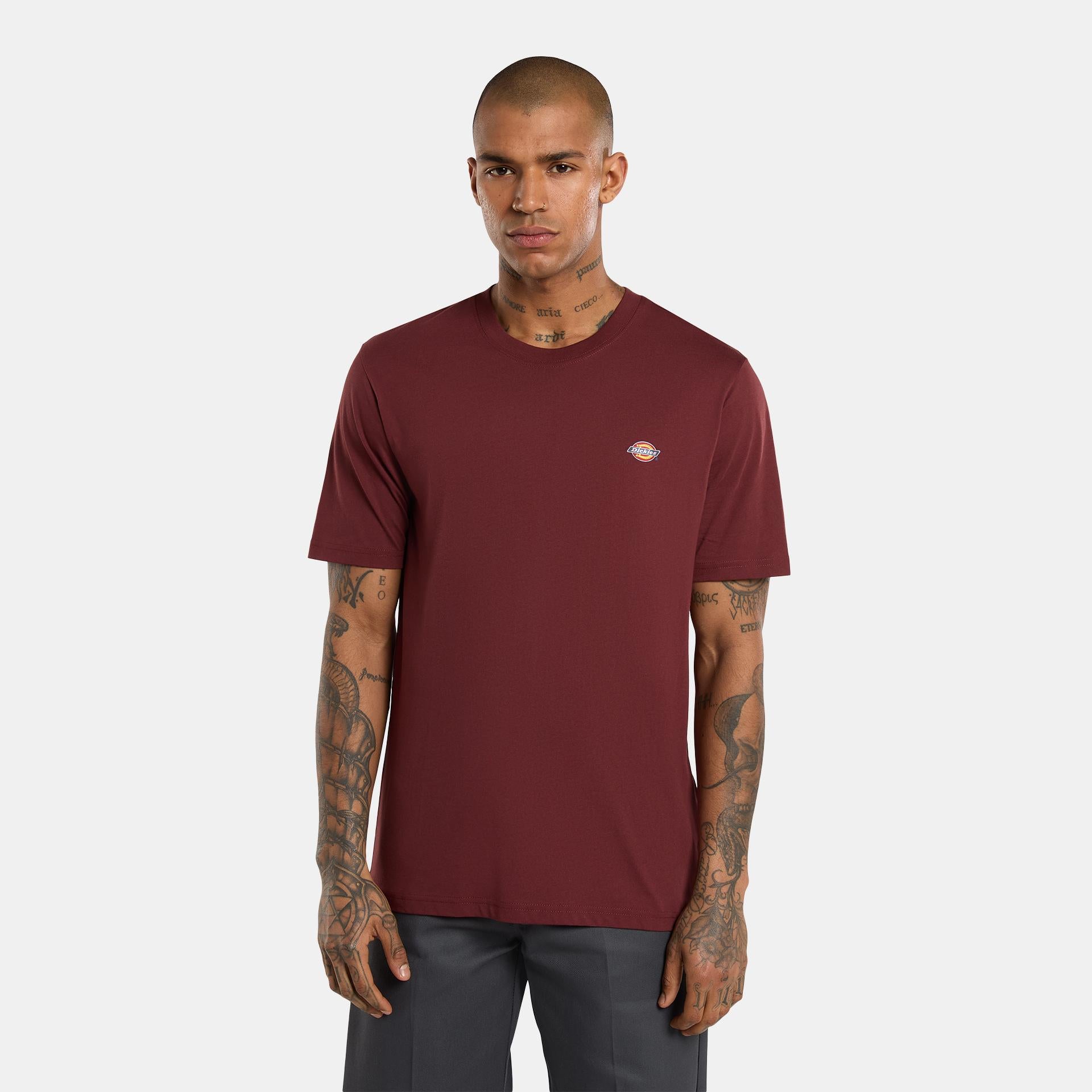 MAPLETON - T-SHIRT DK0A4XDB L161 DICKIES