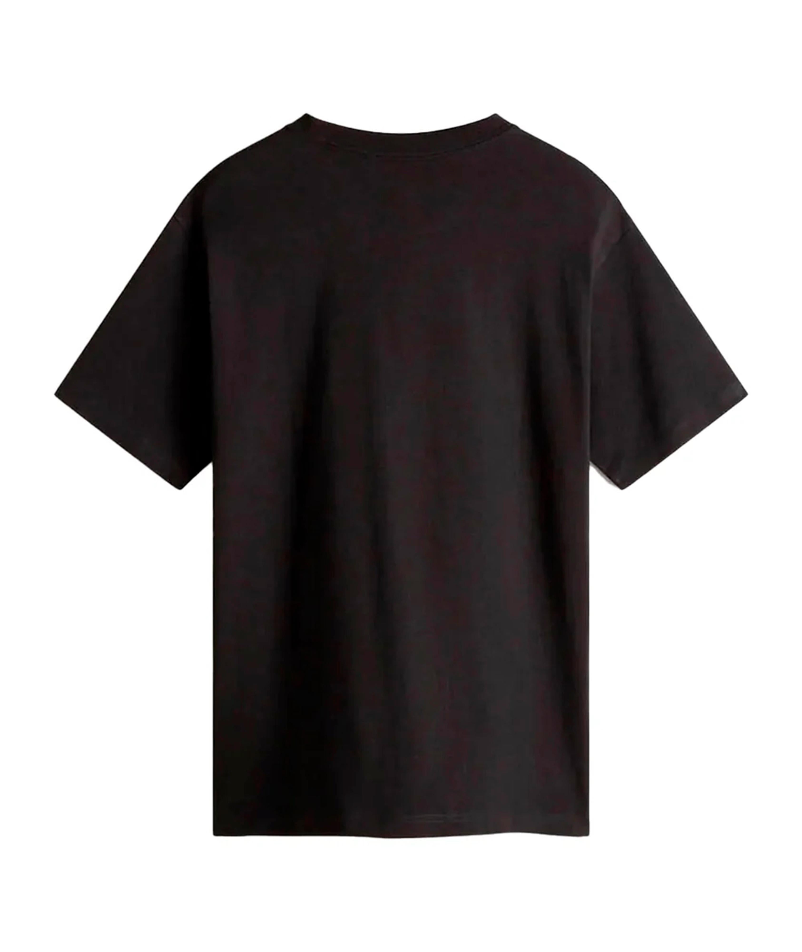 SALTON LOOSE - T-SHIRT VN000P56 BLK1 VANS