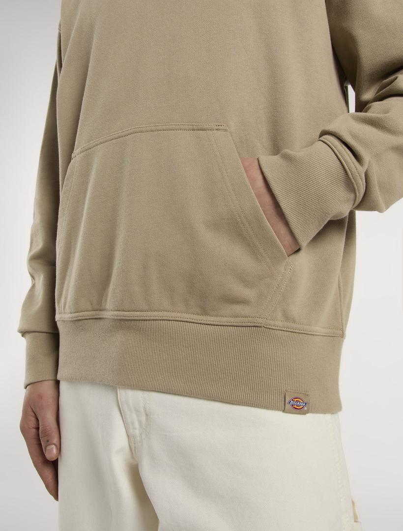 CLANCY HEAVYWEIGHT - FELPA DK0A87CJ 0DS1 DICKIES