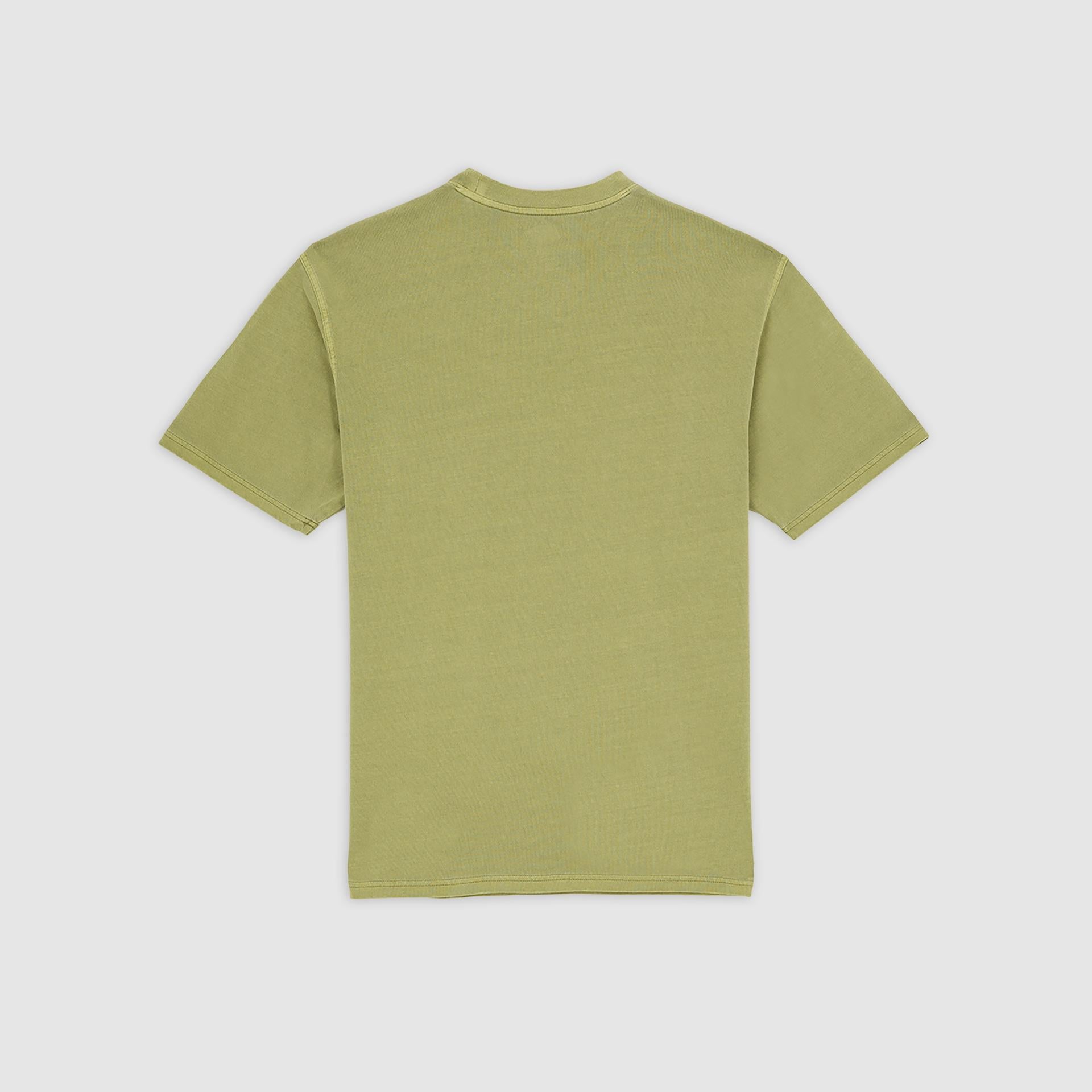 PLENTYWOOD - T-SHIRT DK0A866B L201 DICKIES