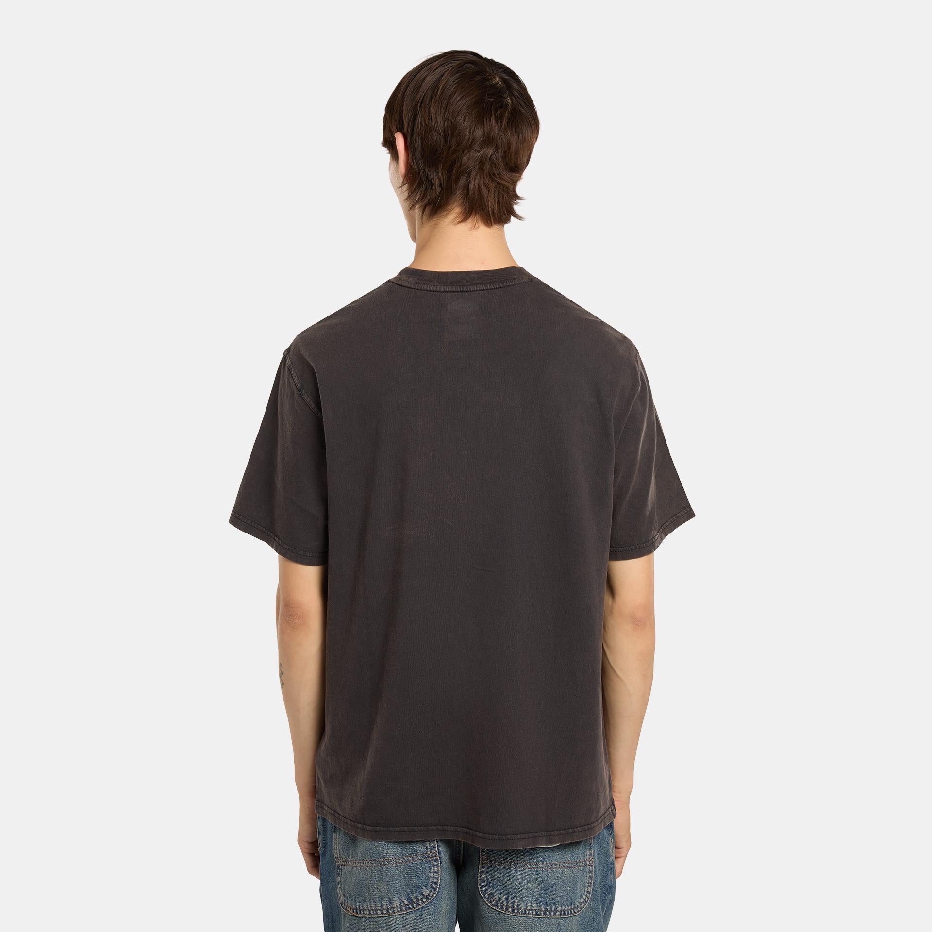 PLENTYWOOD - T-SHIRT DK0A866B H861 DICKIES