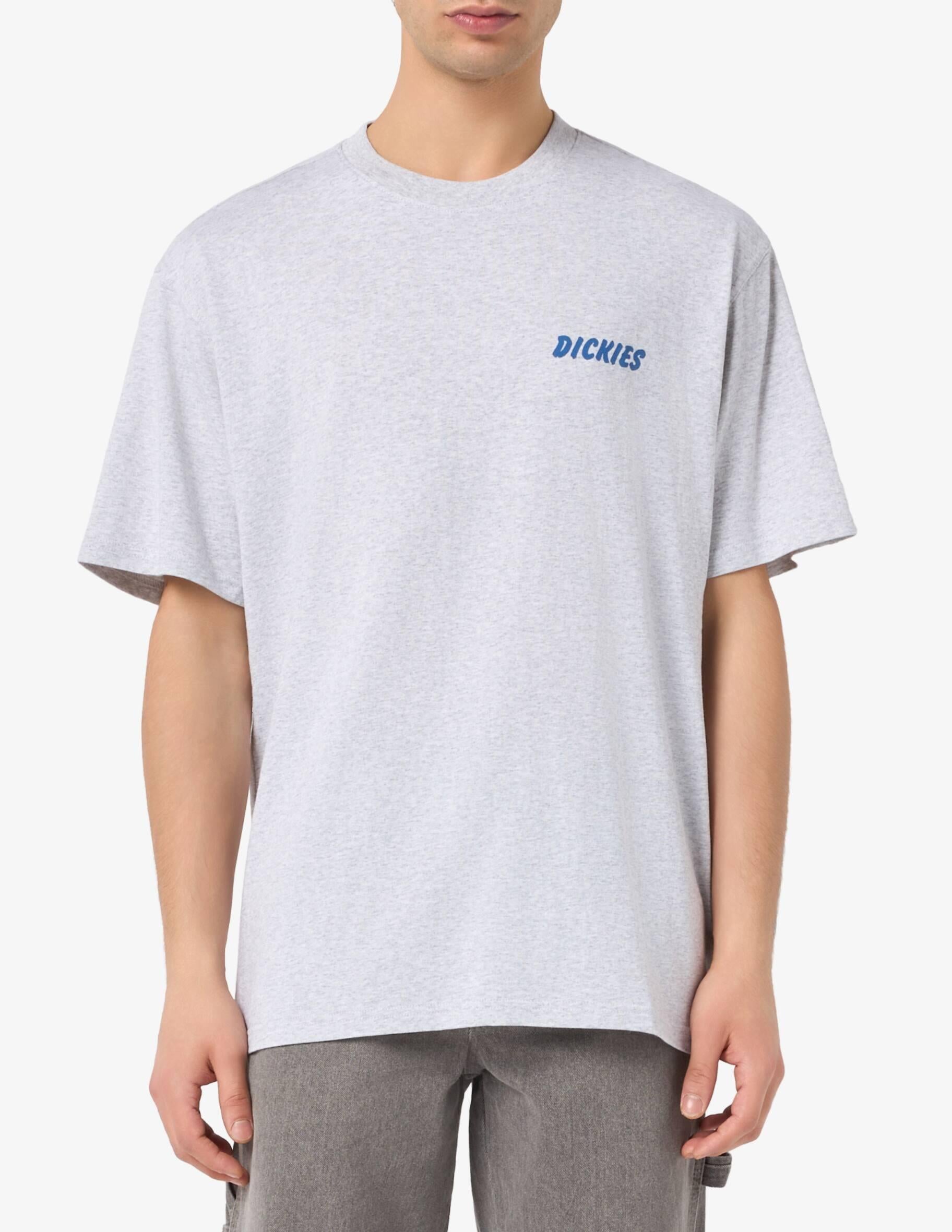 DRY RIDGE - T-SHIRT DK0A8853 A281 DICKIES
