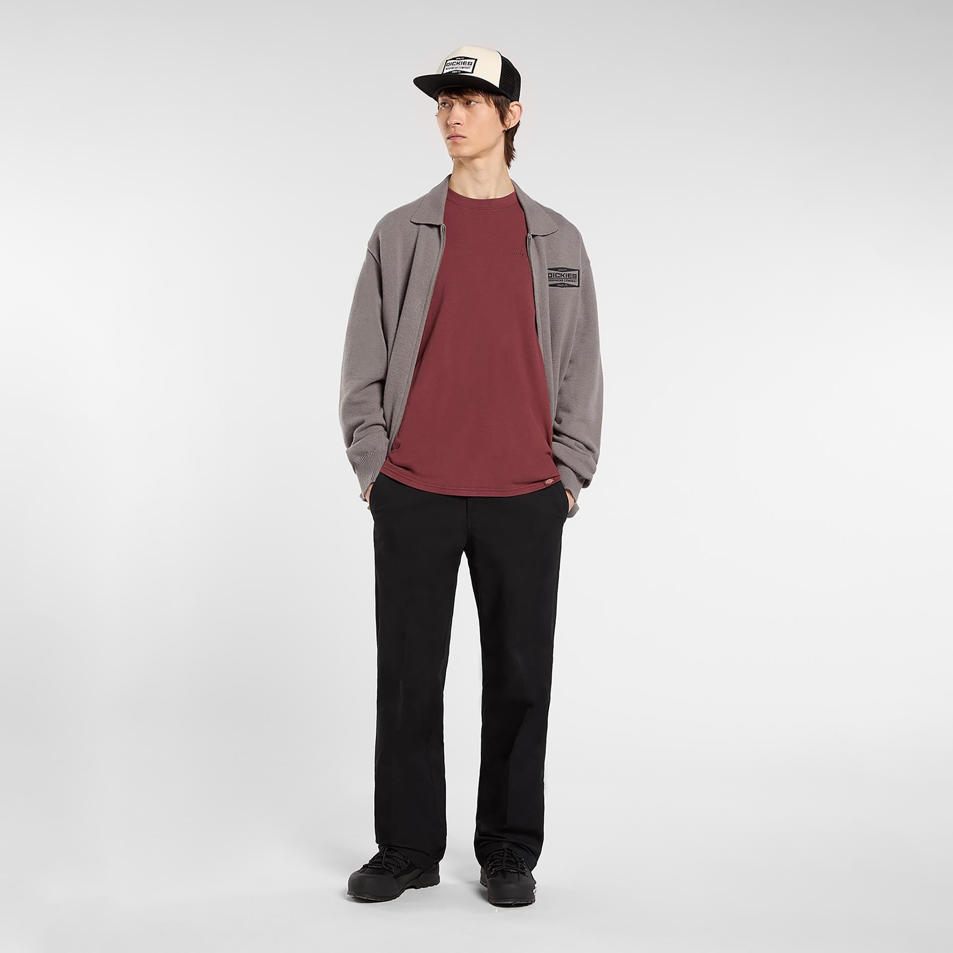 PLENTYWOOD - T-SHIRT DK0A866B L161 DICKIES