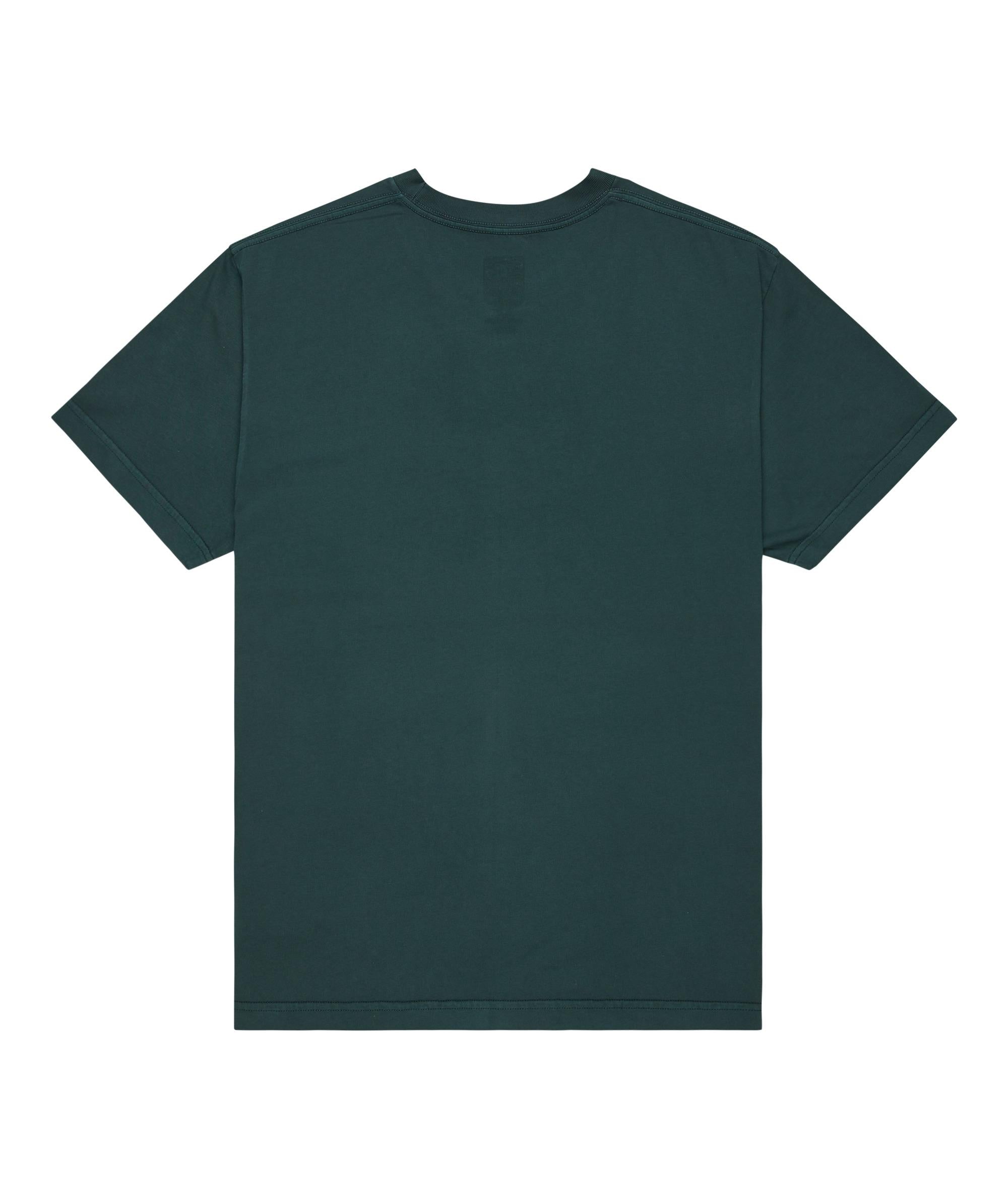 STAR PIGMENT DYE - T-SHIRT ADYZT05374 -GTP0 DC