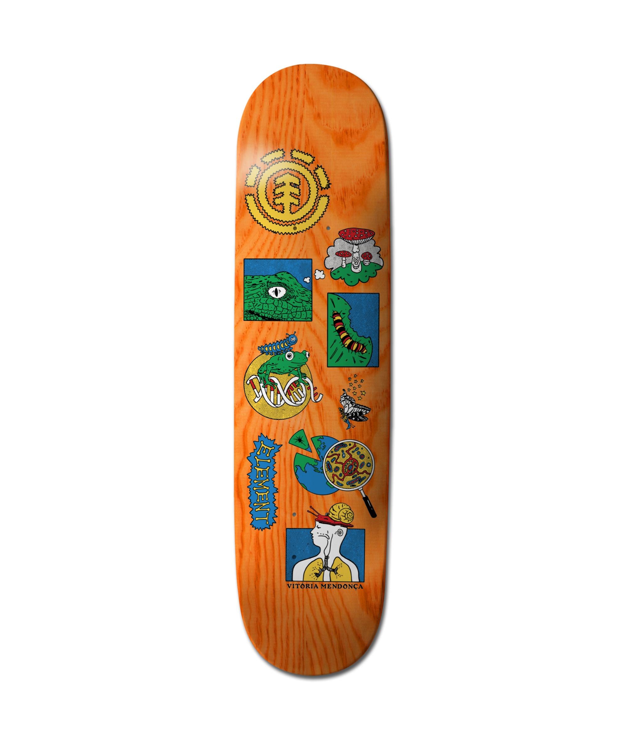 KNOWLEDGE VITOR 8.25 - SKATEBOARD DECK ELYXD00175 -AST ELEMENT