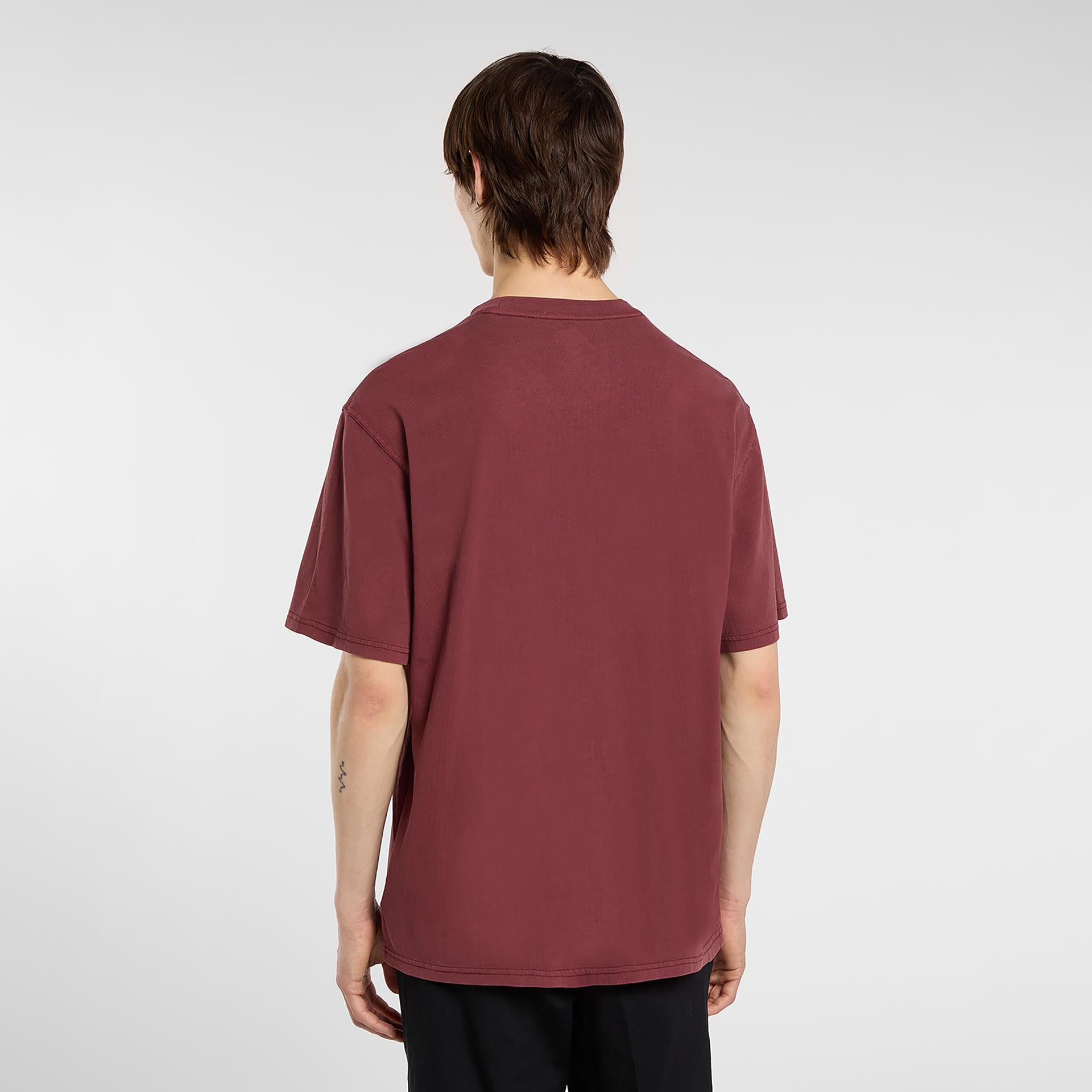 PLENTYWOOD - T-SHIRT DK0A866B L161 DICKIES