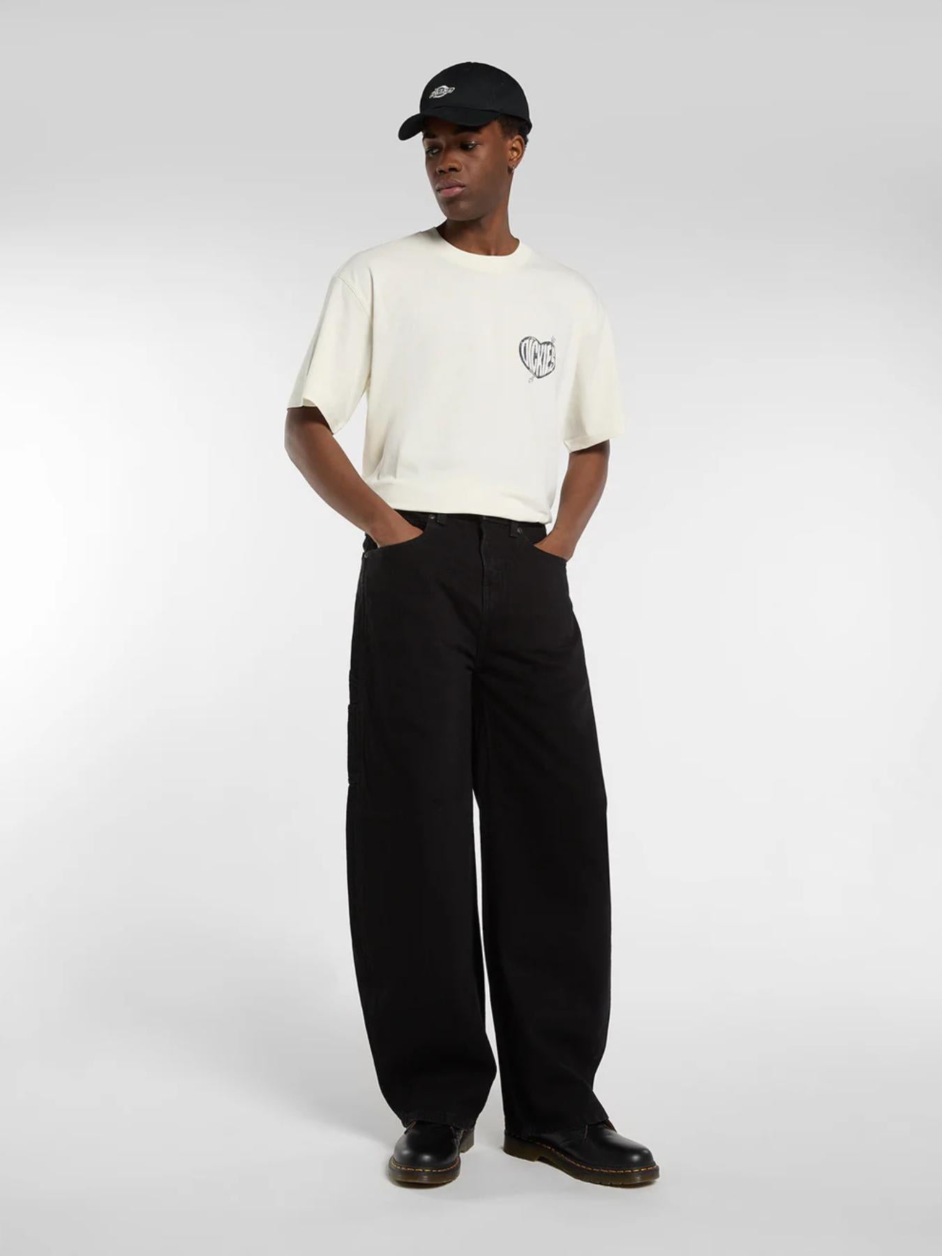 BAGGY BARREL CARPENTER - PANTALONE DK0A8DTT BLK1 DICKIES