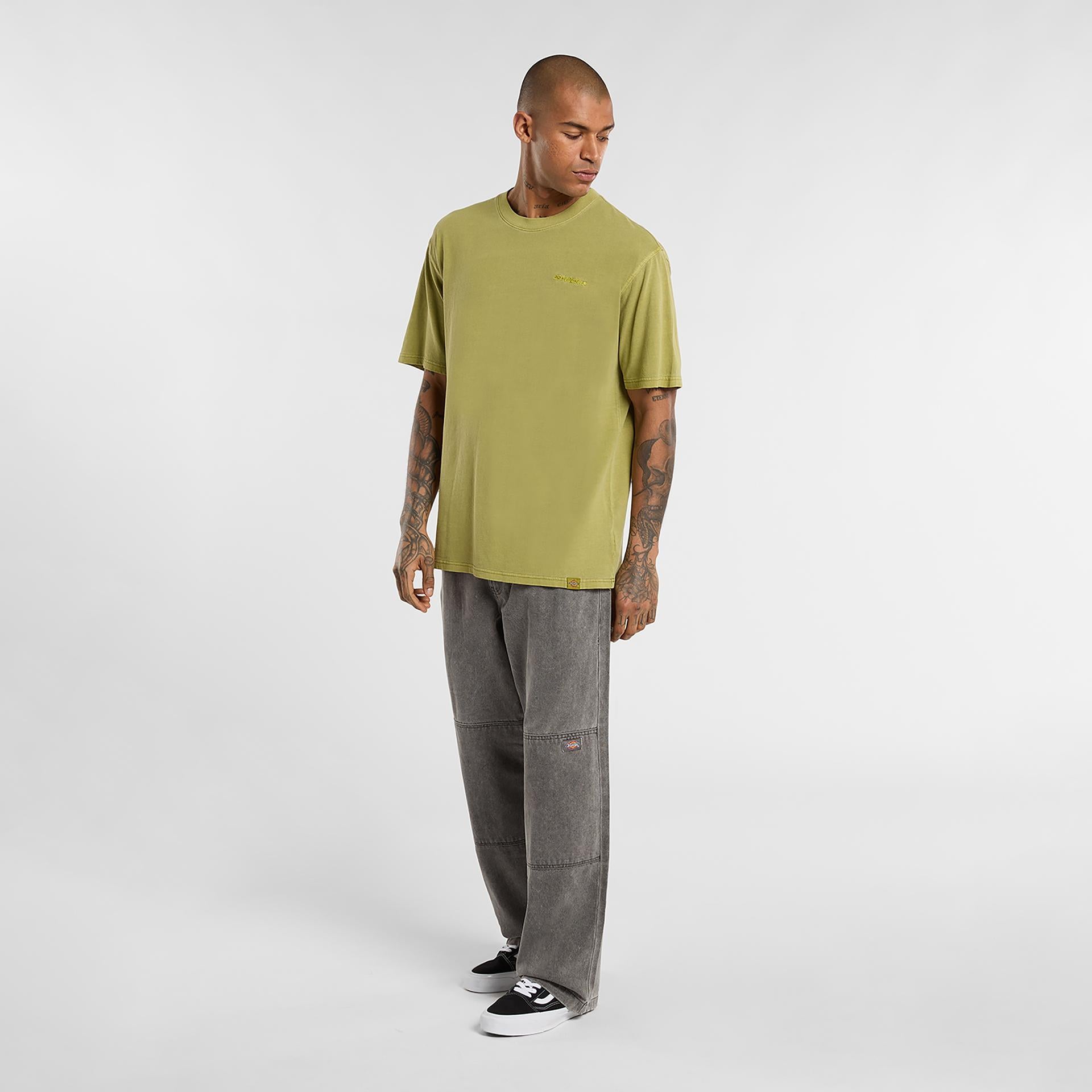 PLENTYWOOD - T-SHIRT DK0A866B L201 DICKIES