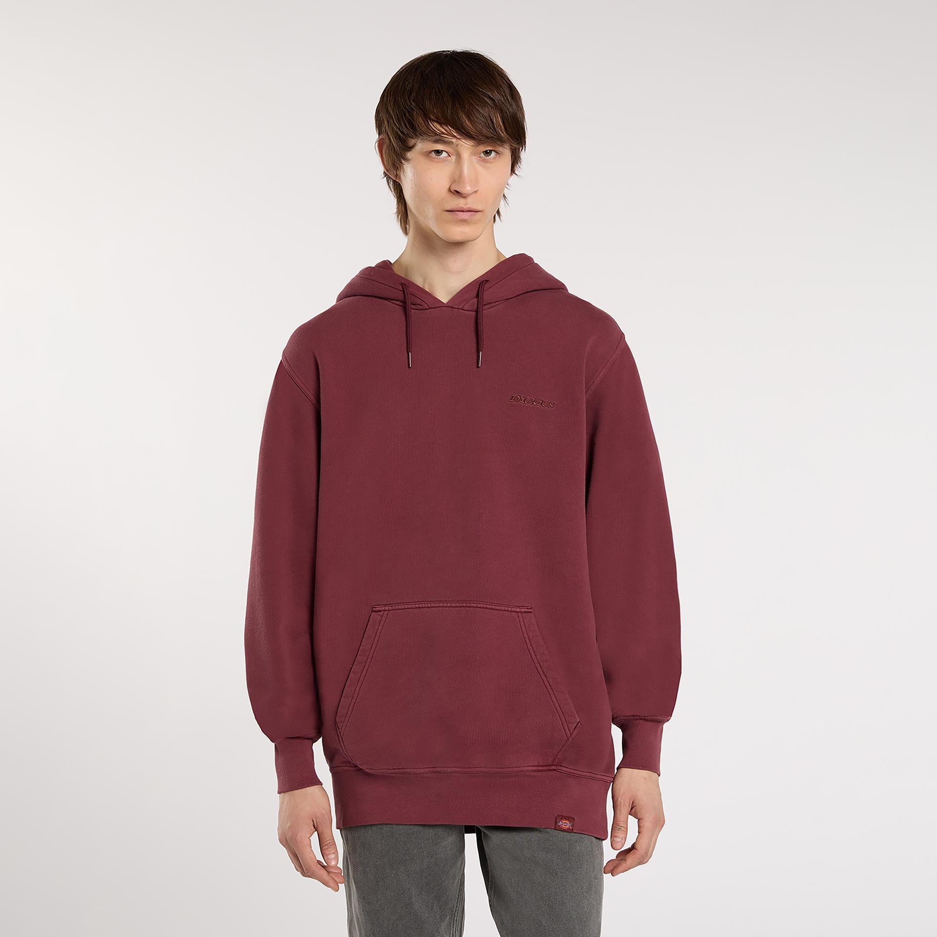 PLENTYWOOD - FELPA DK0A866D L161 DICKIES