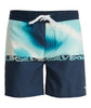 EVERYDAY HALF JAM 16 - BOARDSHORT