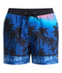  EQYJV04219 -BYC6 QUIKSILVER 