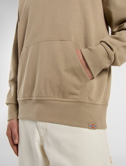 CLANCY HEAVYWEIGHT - FELPA DK0A87CJ 0DS1 DICKIES 