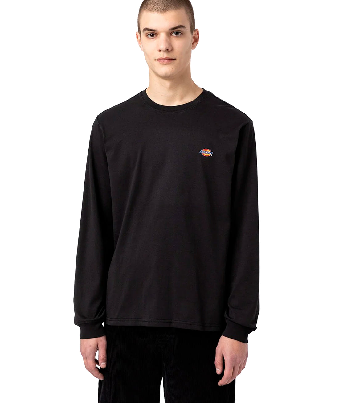 MAPLETON - T-SHIRT DK0A4Y4R BLK1 DICKIES 