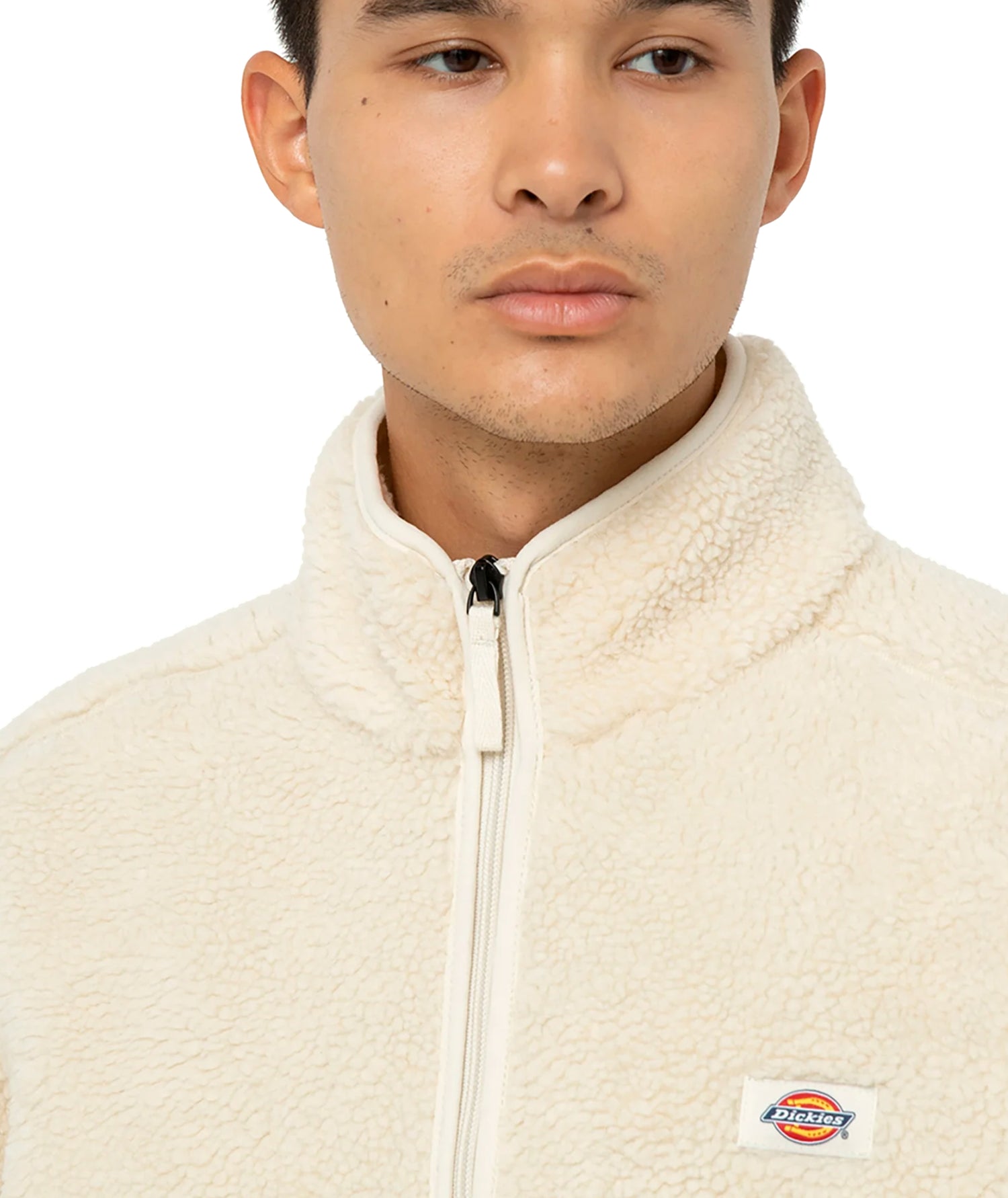 MOUNT HOPE - FELPA DK0A4YEE F901 DICKIES 