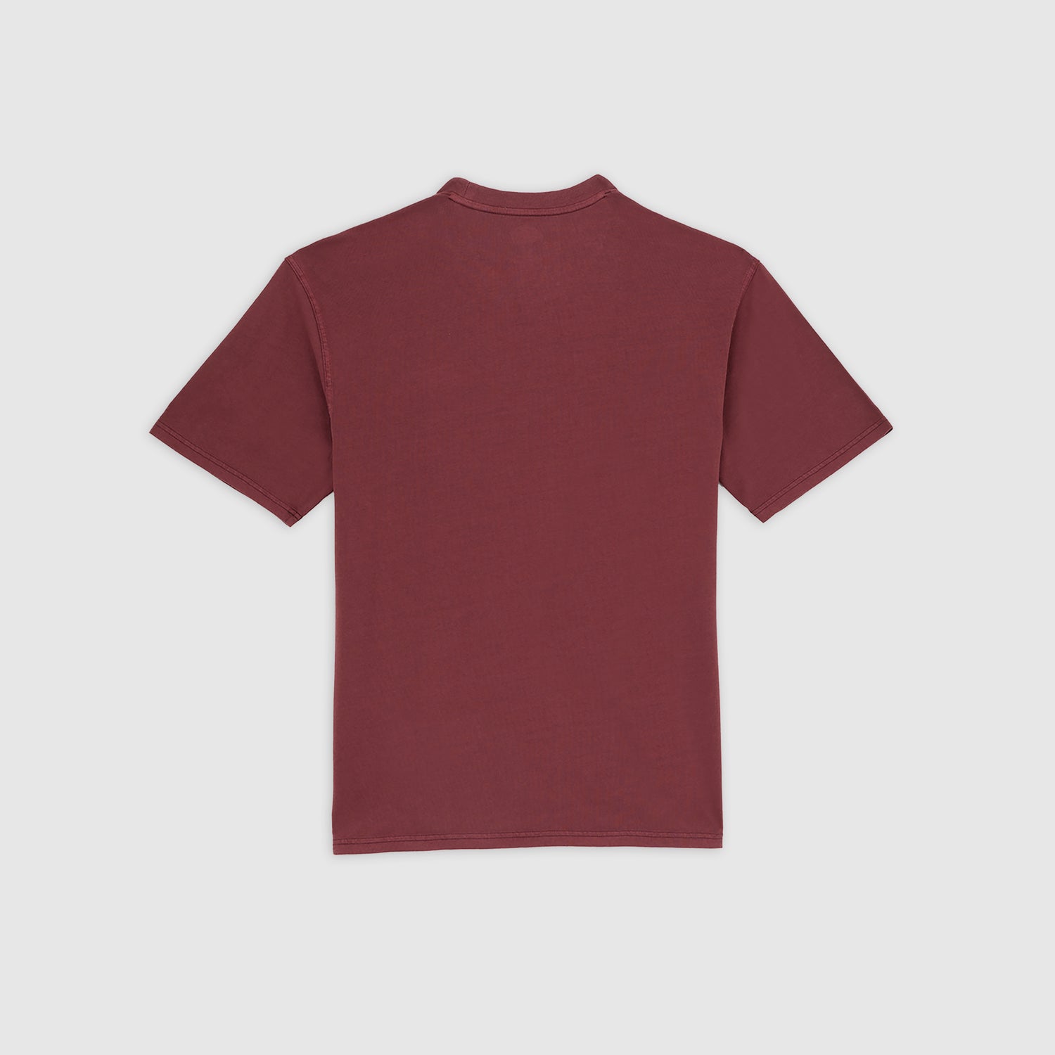 PLENTYWOOD - T-SHIRT DK0A866B L161 DICKIES 
