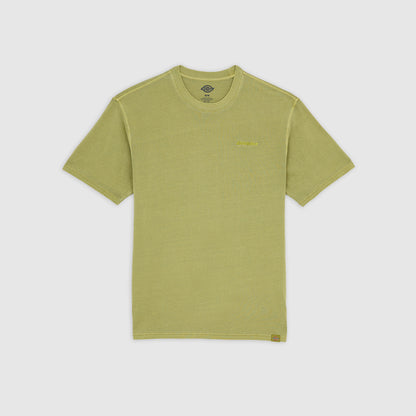 PLENTYWOOD - T-SHIRT DK0A866B L201 DICKIES 