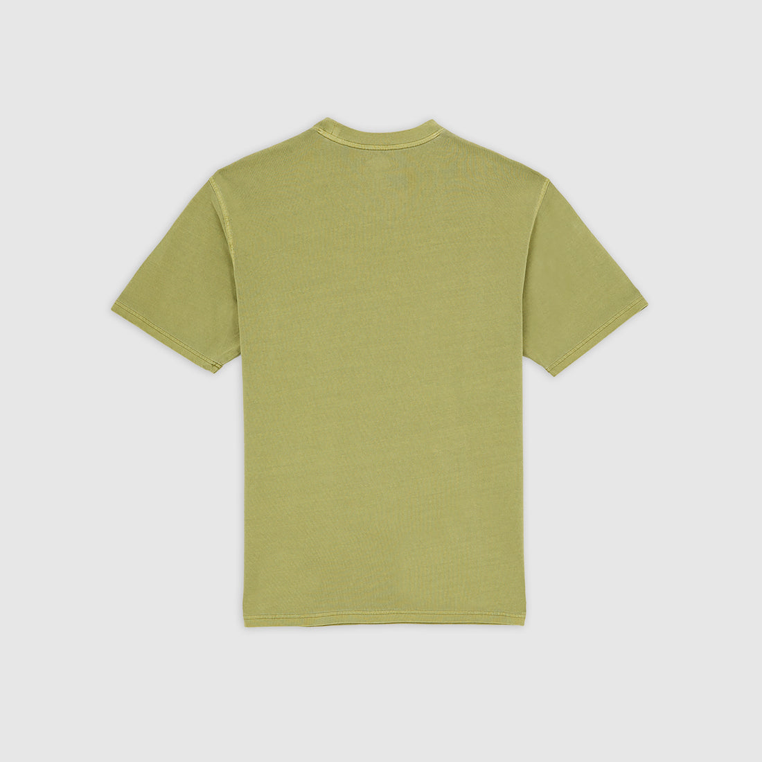 PLENTYWOOD - T-SHIRT DK0A866B L201 DICKIES 