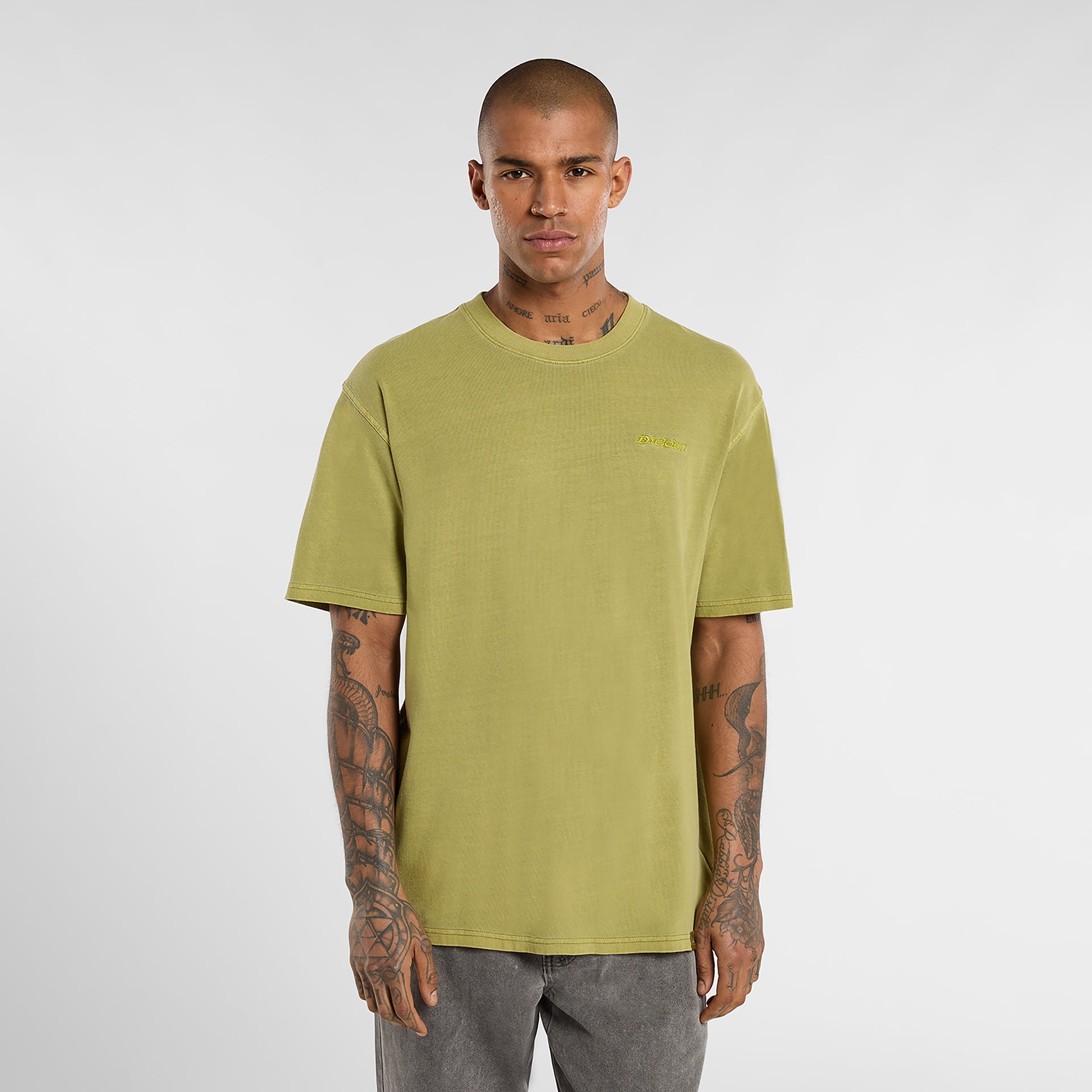 PLENTYWOOD - T-SHIRT DK0A866B L201 DICKIES 