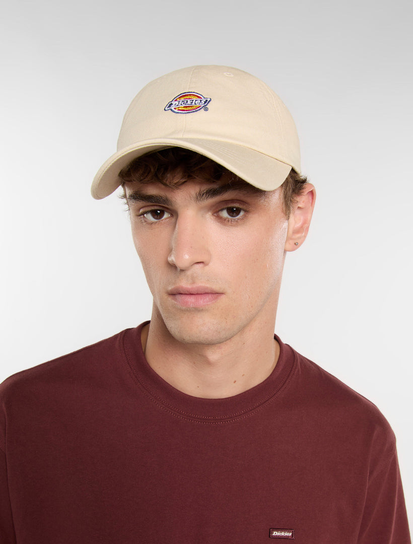HARDWICK - CAPPELLINO DK0A4TKV F901 DICKIES 