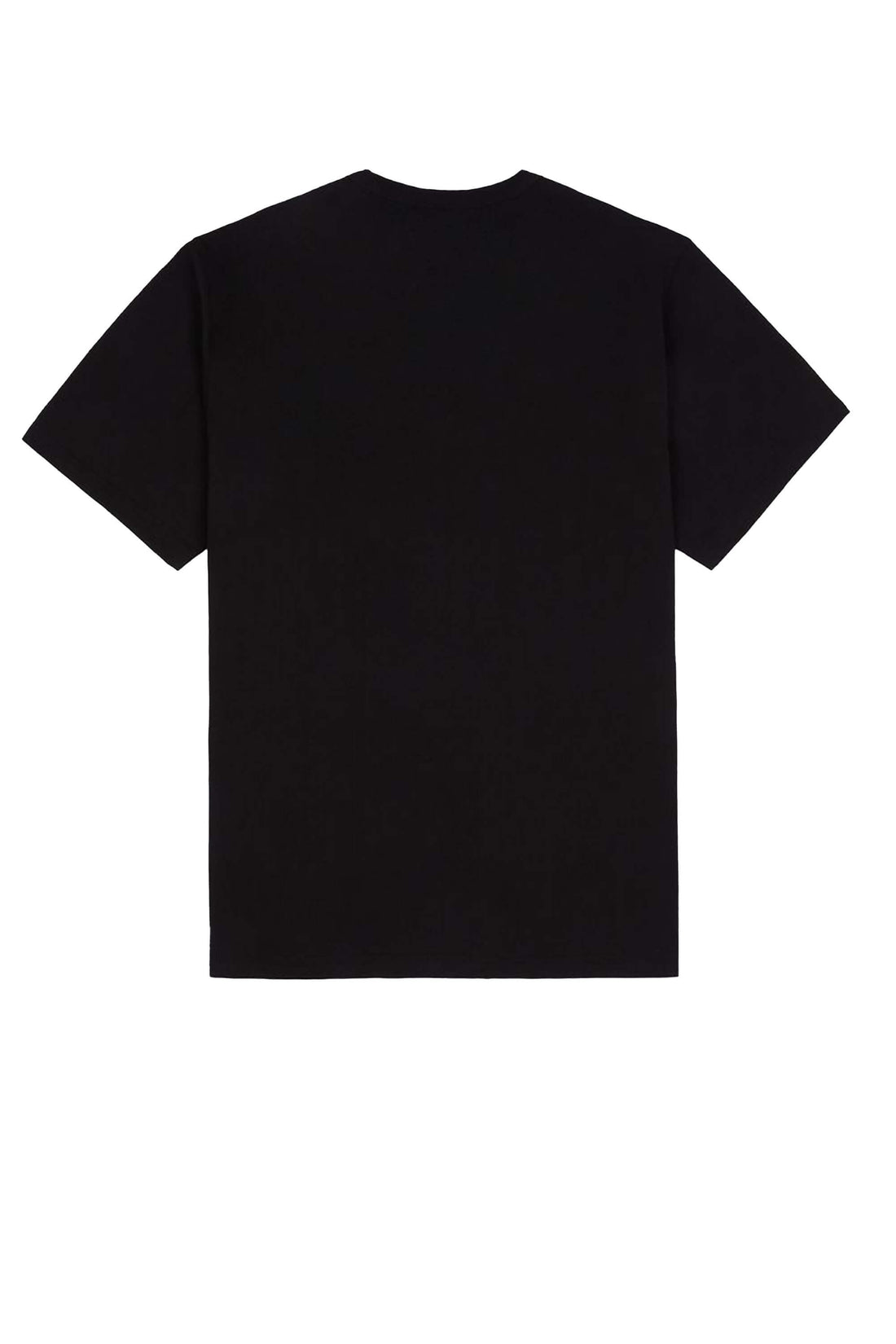 SUMMERDALE - T-SHIRT DK0A4YAI BLK1 DICKIES 