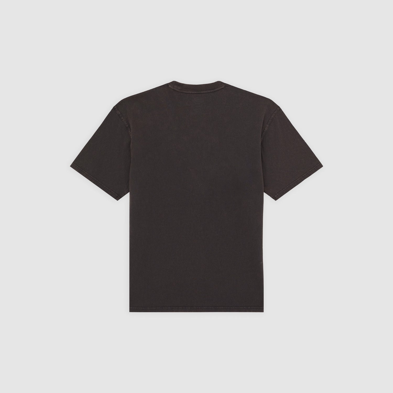 PLENTYWOOD - T-SHIRT DK0A866B H861 DICKIES 