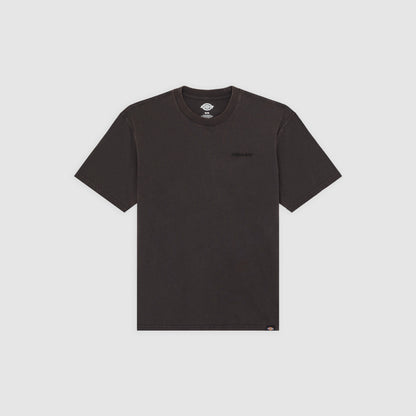 PLENTYWOOD - T-SHIRT DK0A866B H861 DICKIES 