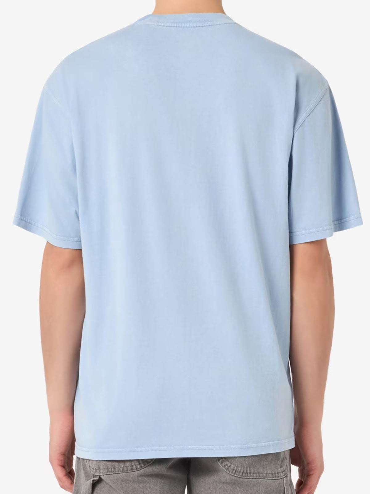 PLENTYWOOD - T-SHIRT DK0A866B L391 DICKIES 