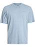 PLENTYWOOD - T-SHIRT DK0A866B L391 DICKIES 