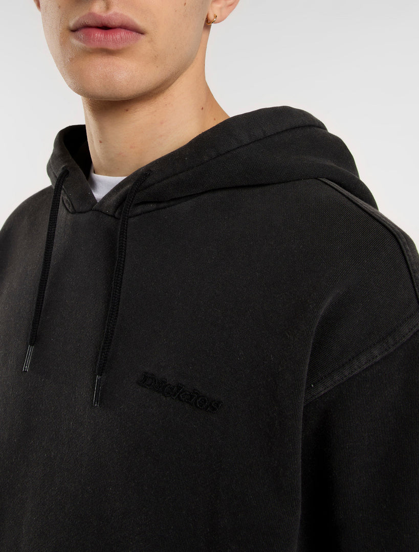 PLENTYWOOD - FELPA DK0A866D BLK1 DICKIES 