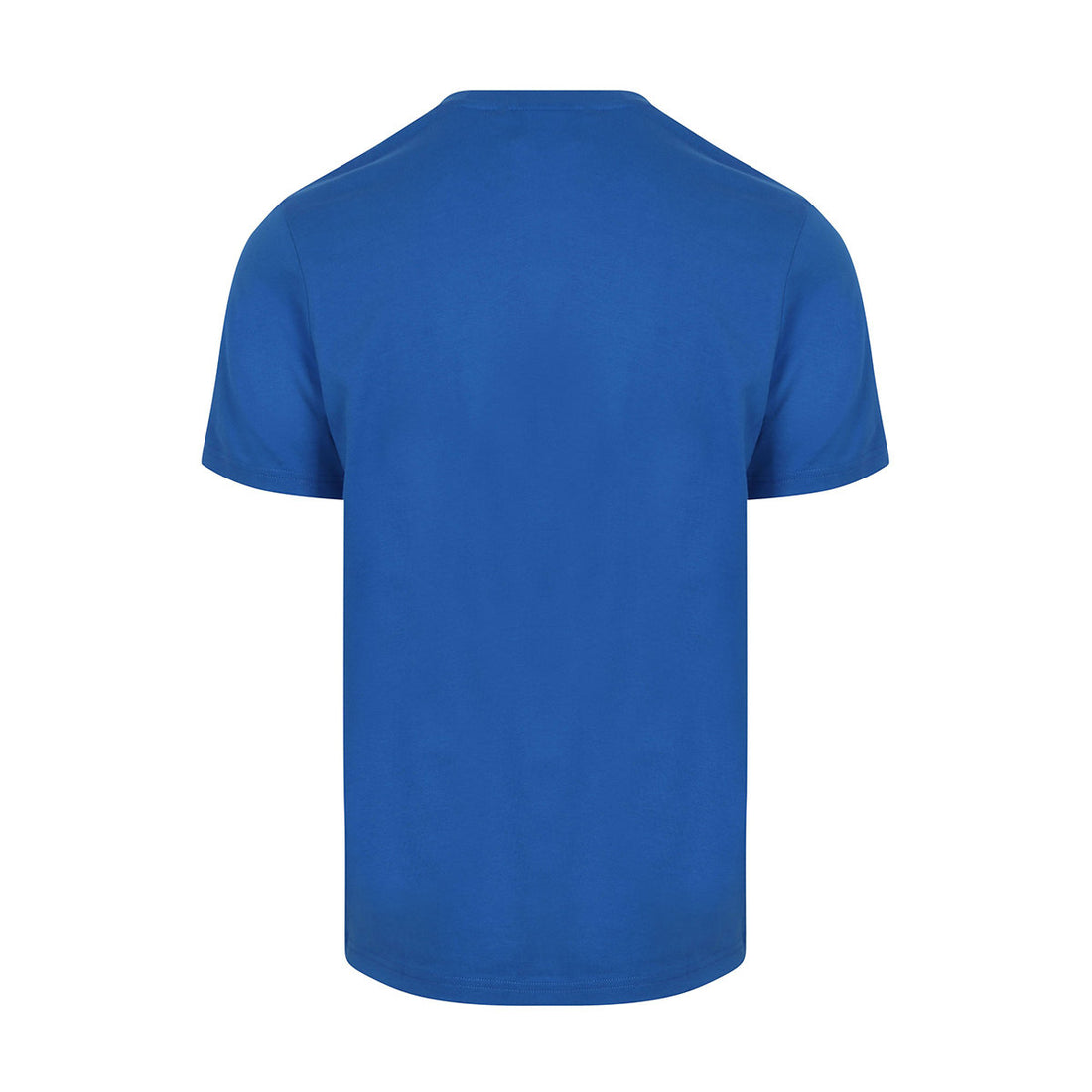 PLAIN - T-SHIRT TS400VOGT -X358 LYLE &amp; SCOTT 