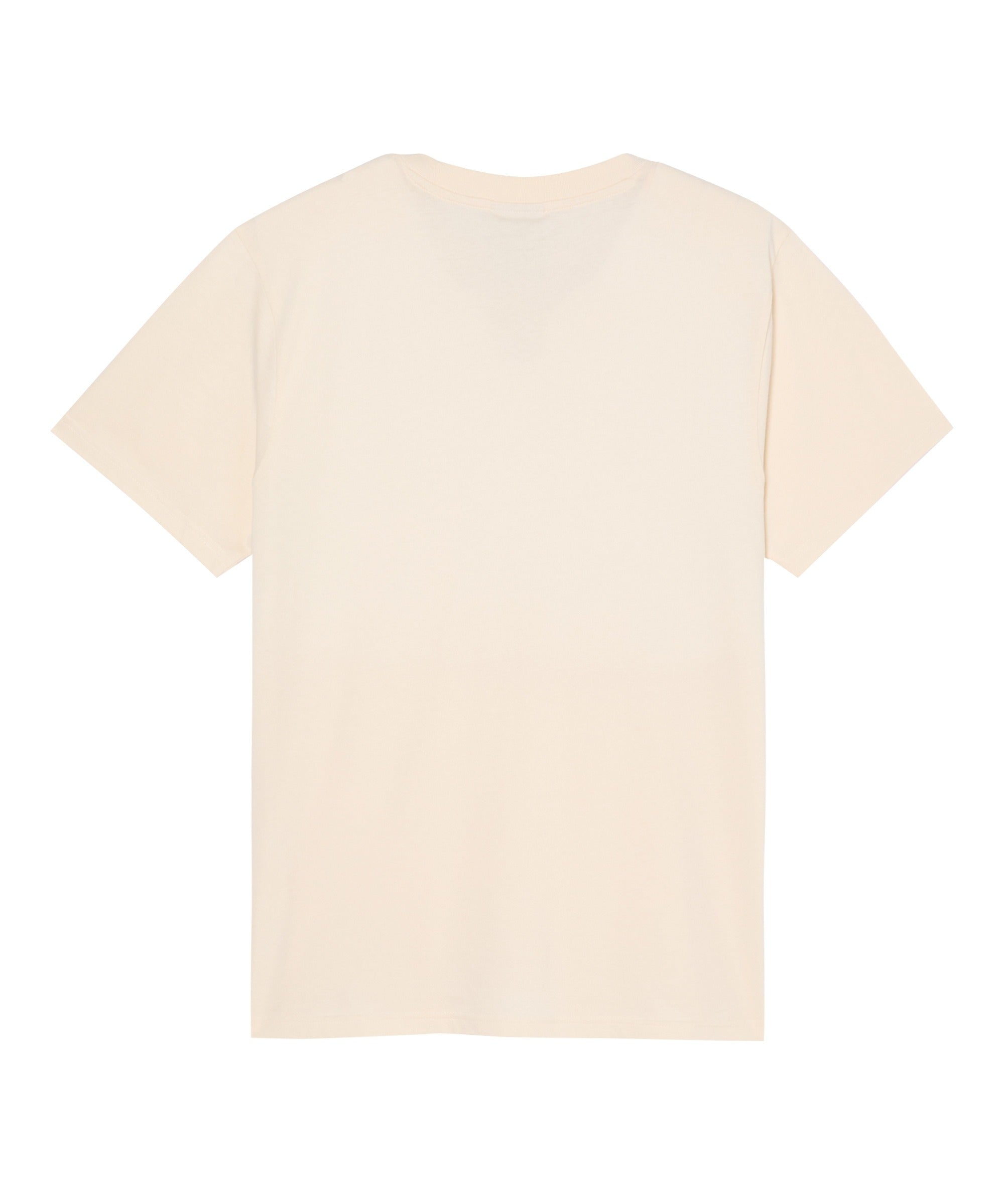 ONE PIECE WANTED - T-SHIRT EQYZT08509 -BWT QUIKSILVER 